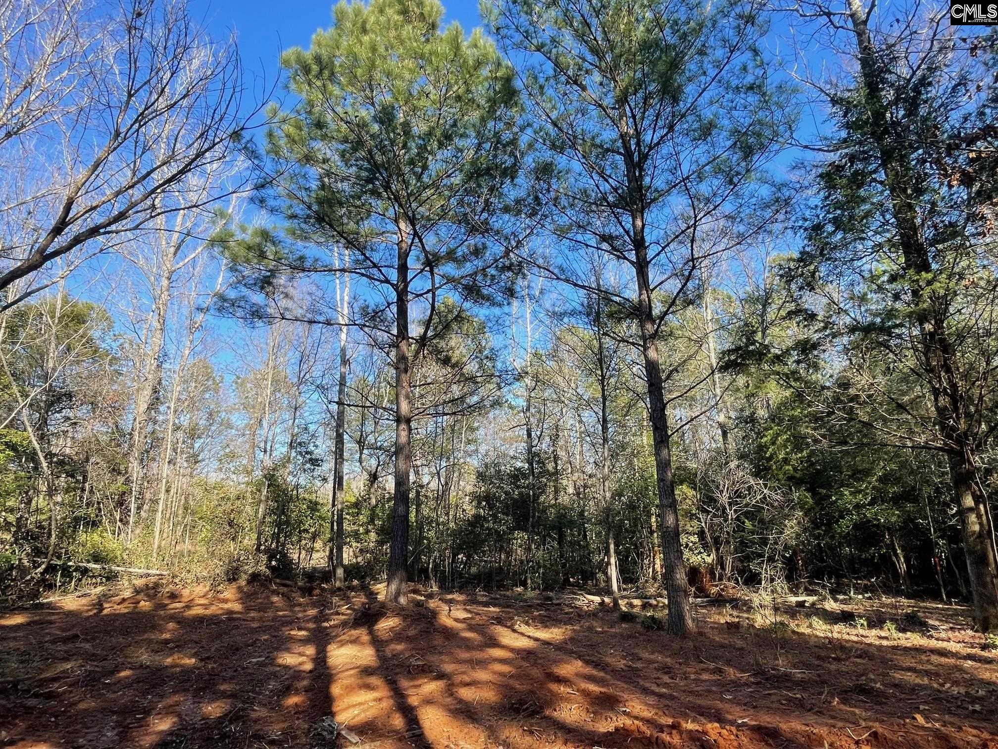 LOT 2 Houston Road UNIT #2 Prosperity, SC 29126