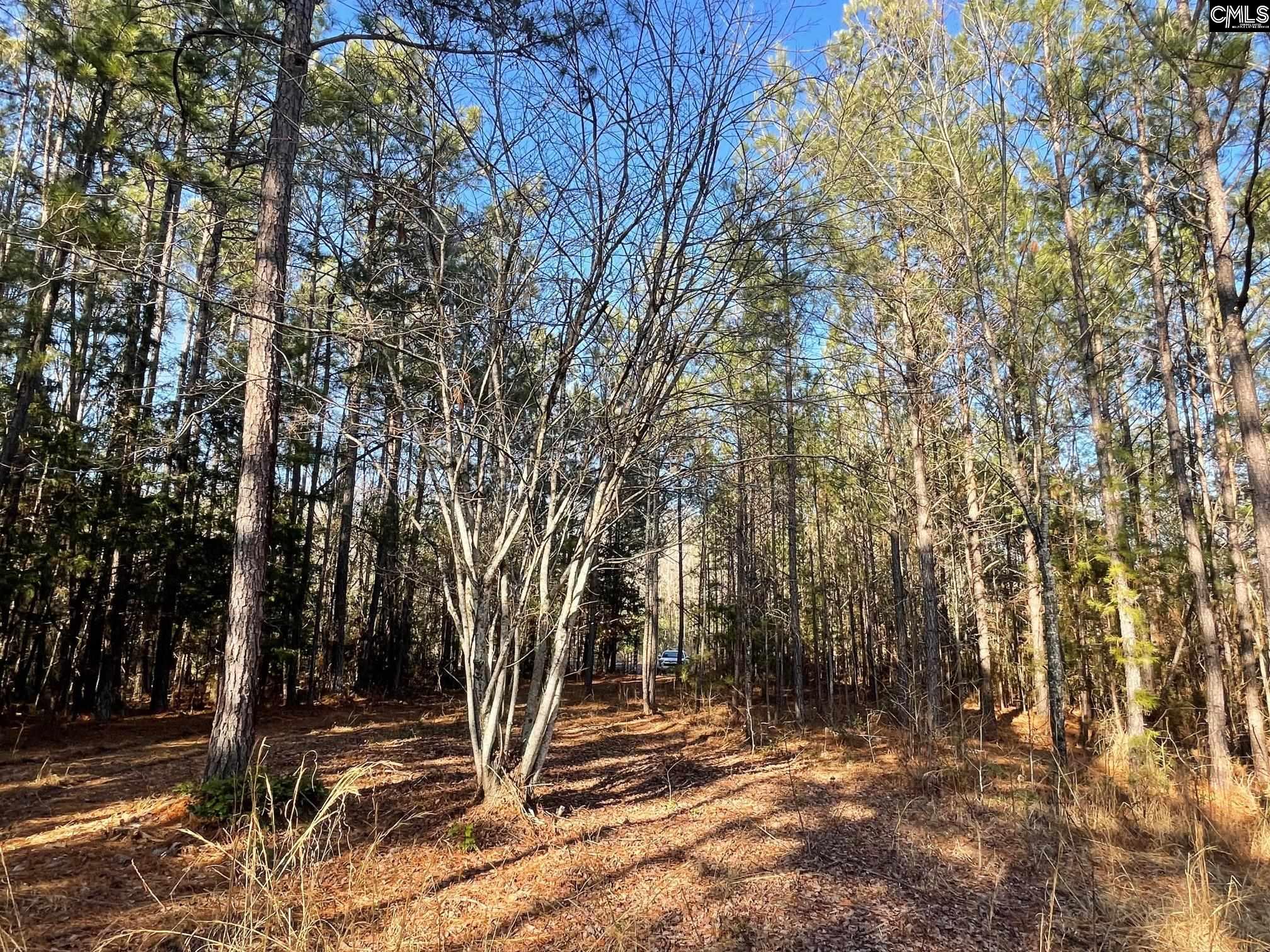 LOT 2 Houston Road UNIT #2 Prosperity, SC 29126