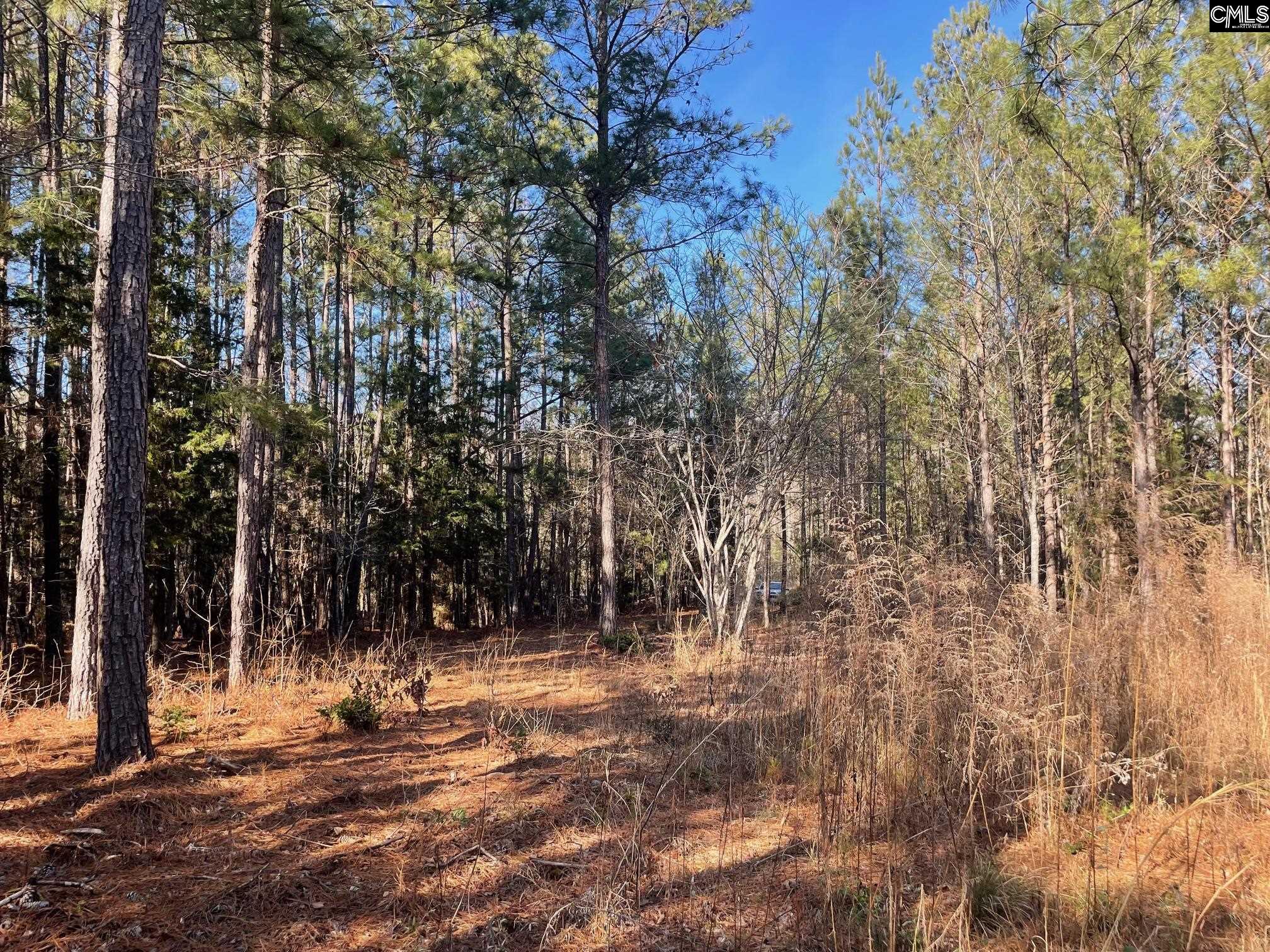 LOT 2 Houston Road UNIT #2 Prosperity, SC 29126