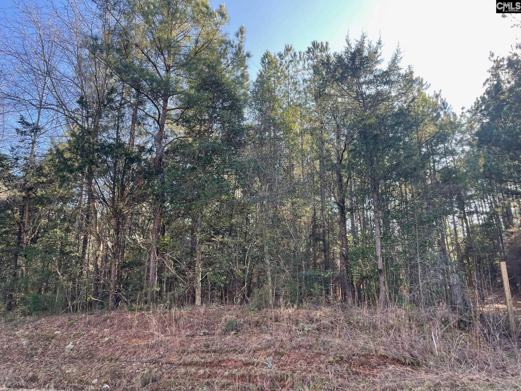LOT 2 Houston Road UNIT #2 Prosperity, SC 29126