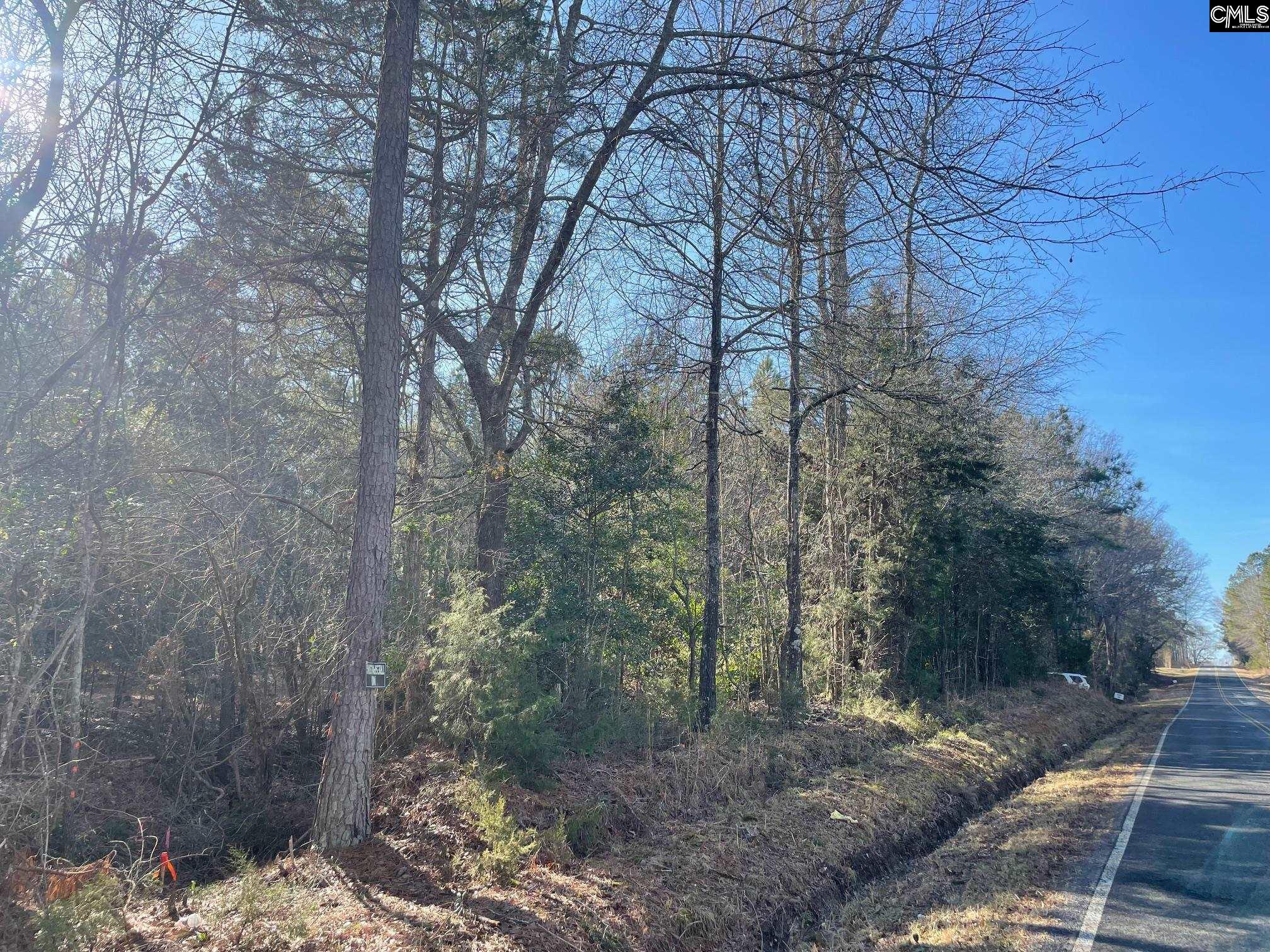 LOT 2 Houston Road UNIT #2 Prosperity, SC 29126