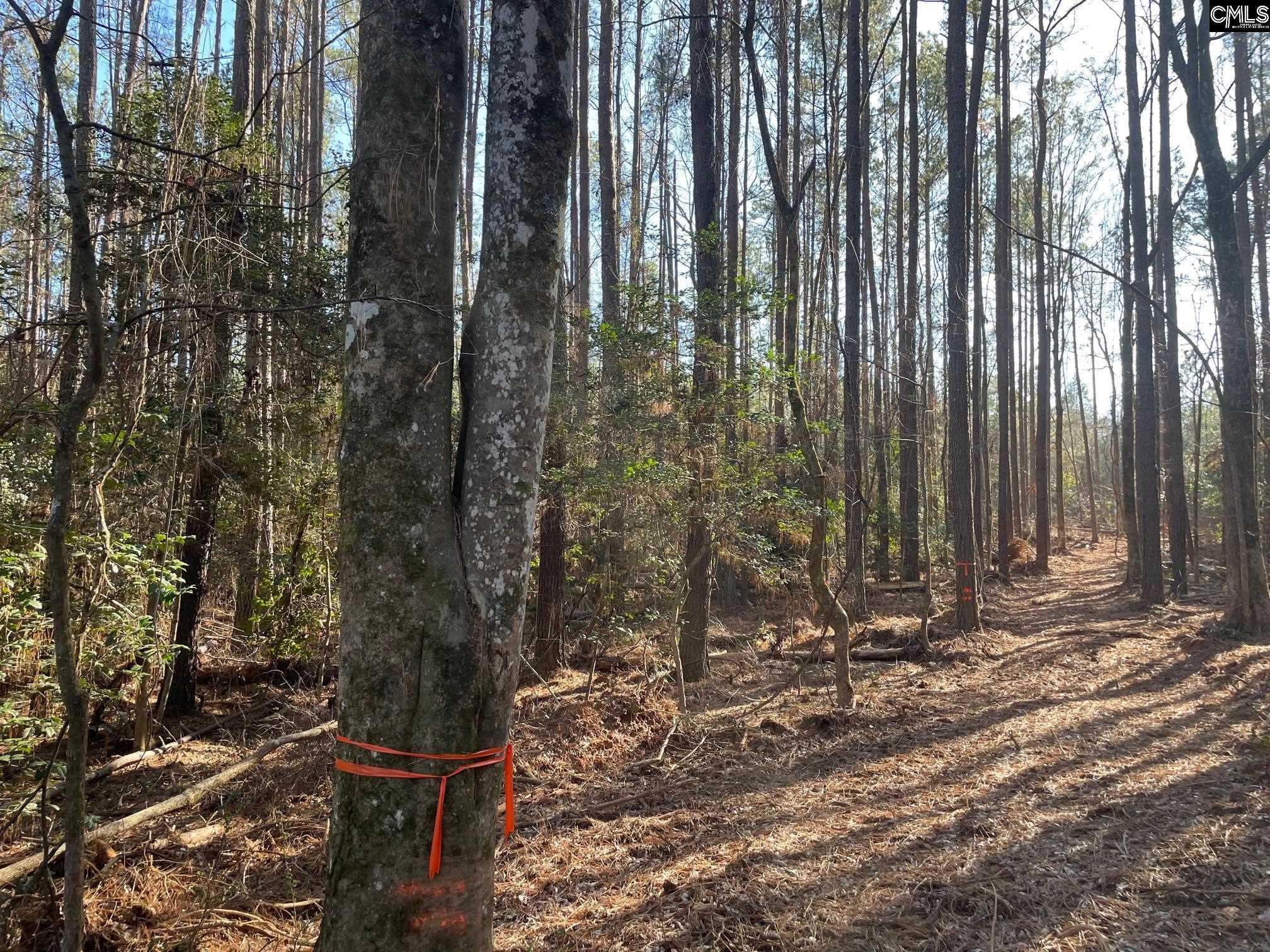 Lot 3 Houston Road UNIT #3 Prosperity, SC 29127