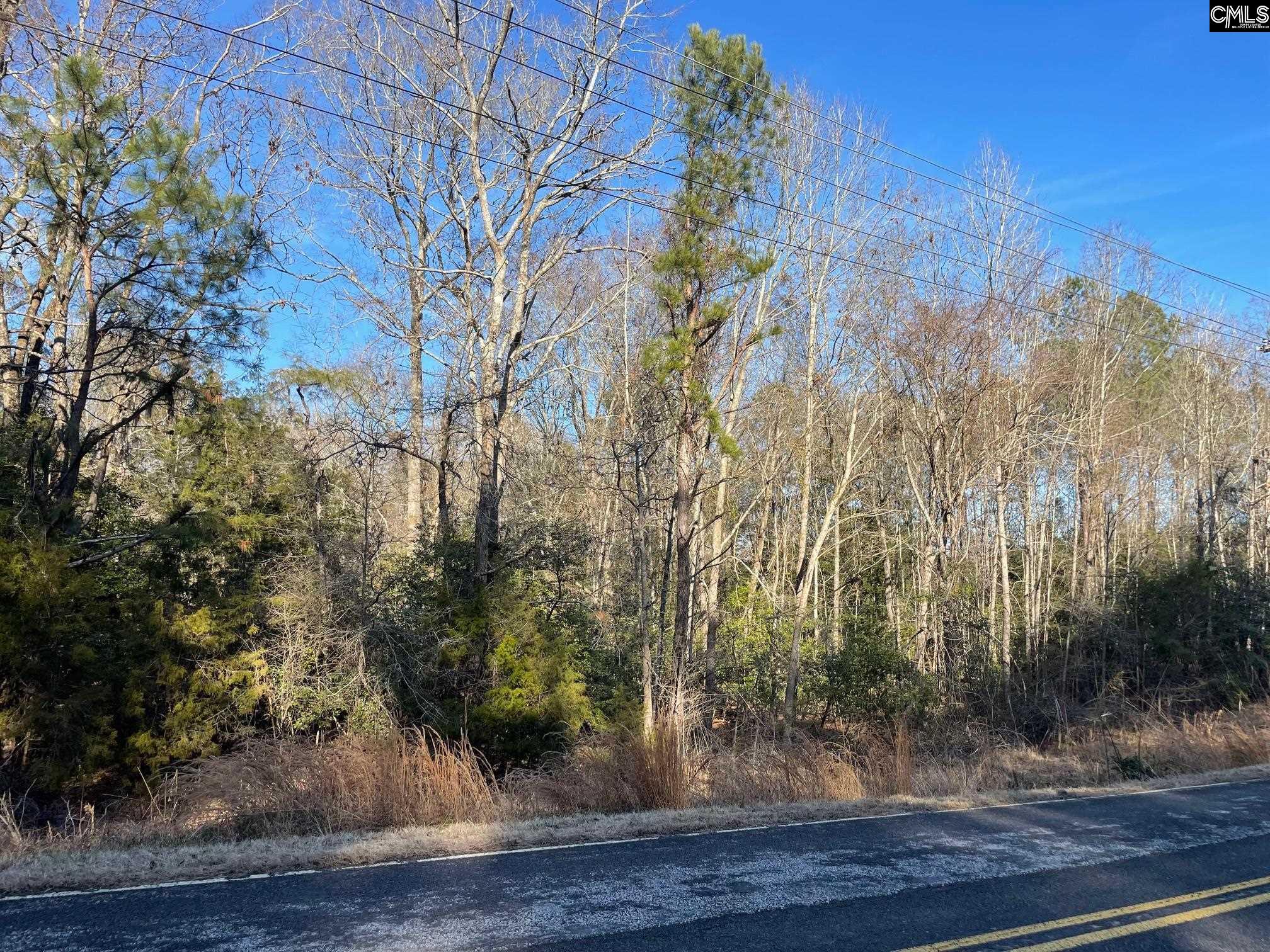 Lot 3 Houston Road UNIT #3 Prosperity, SC 29127