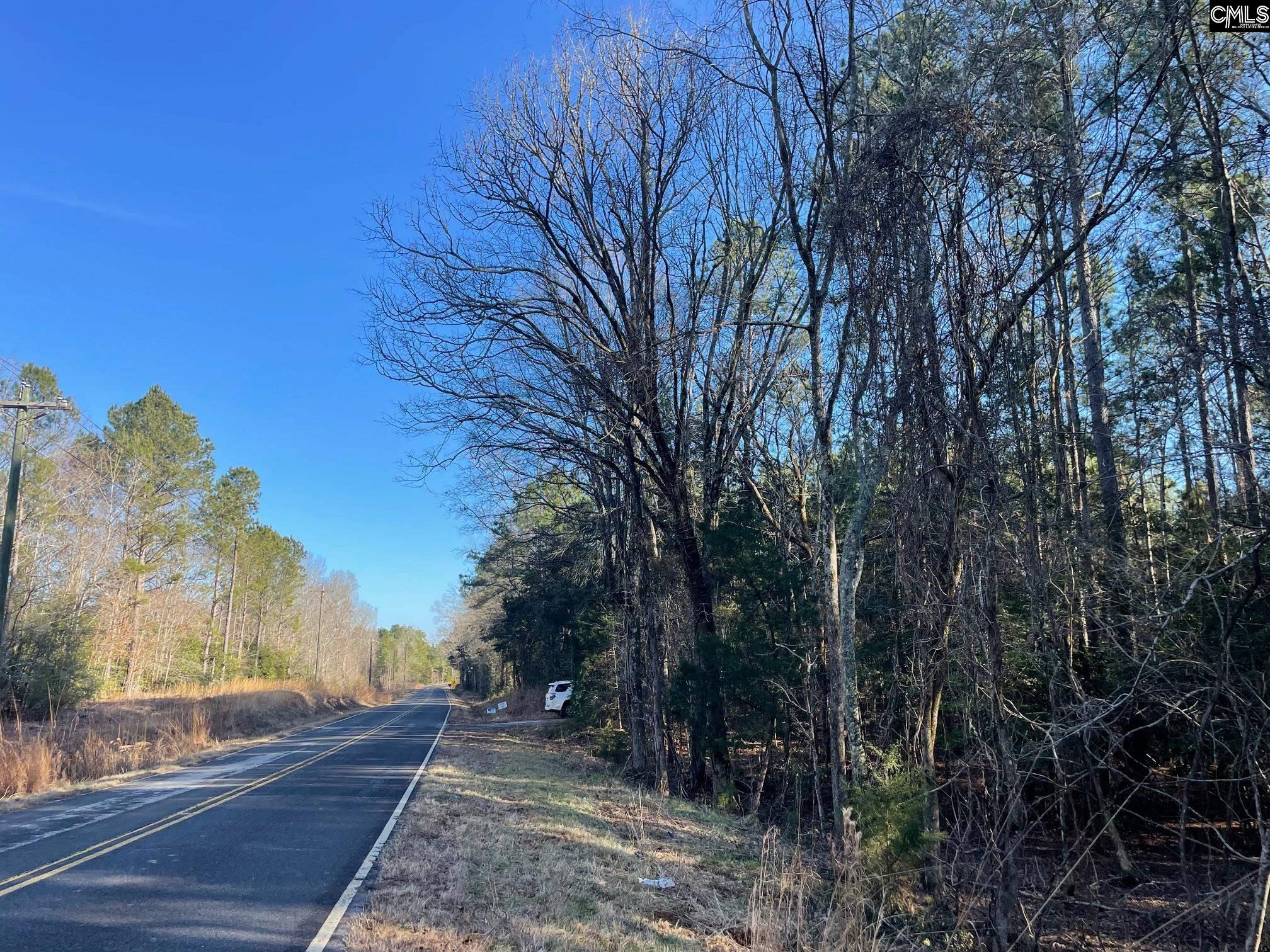 Lot 3 Houston Road UNIT #3 Prosperity, SC 29127