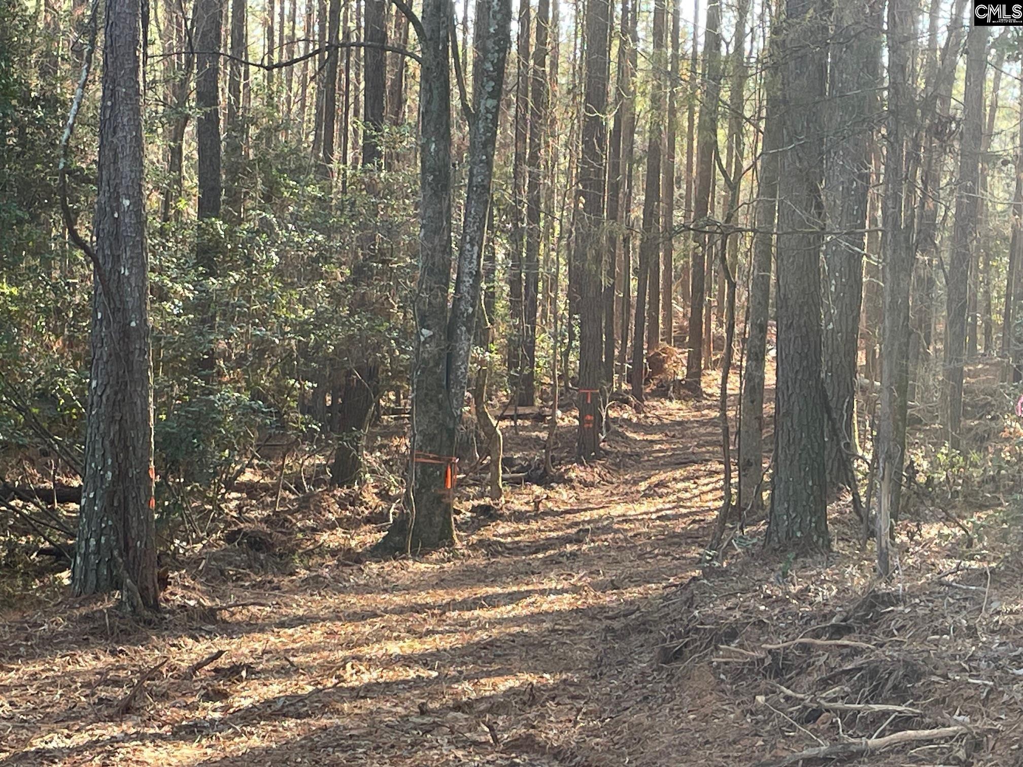 Lot 3 Houston Road UNIT #3 Prosperity, SC 29127