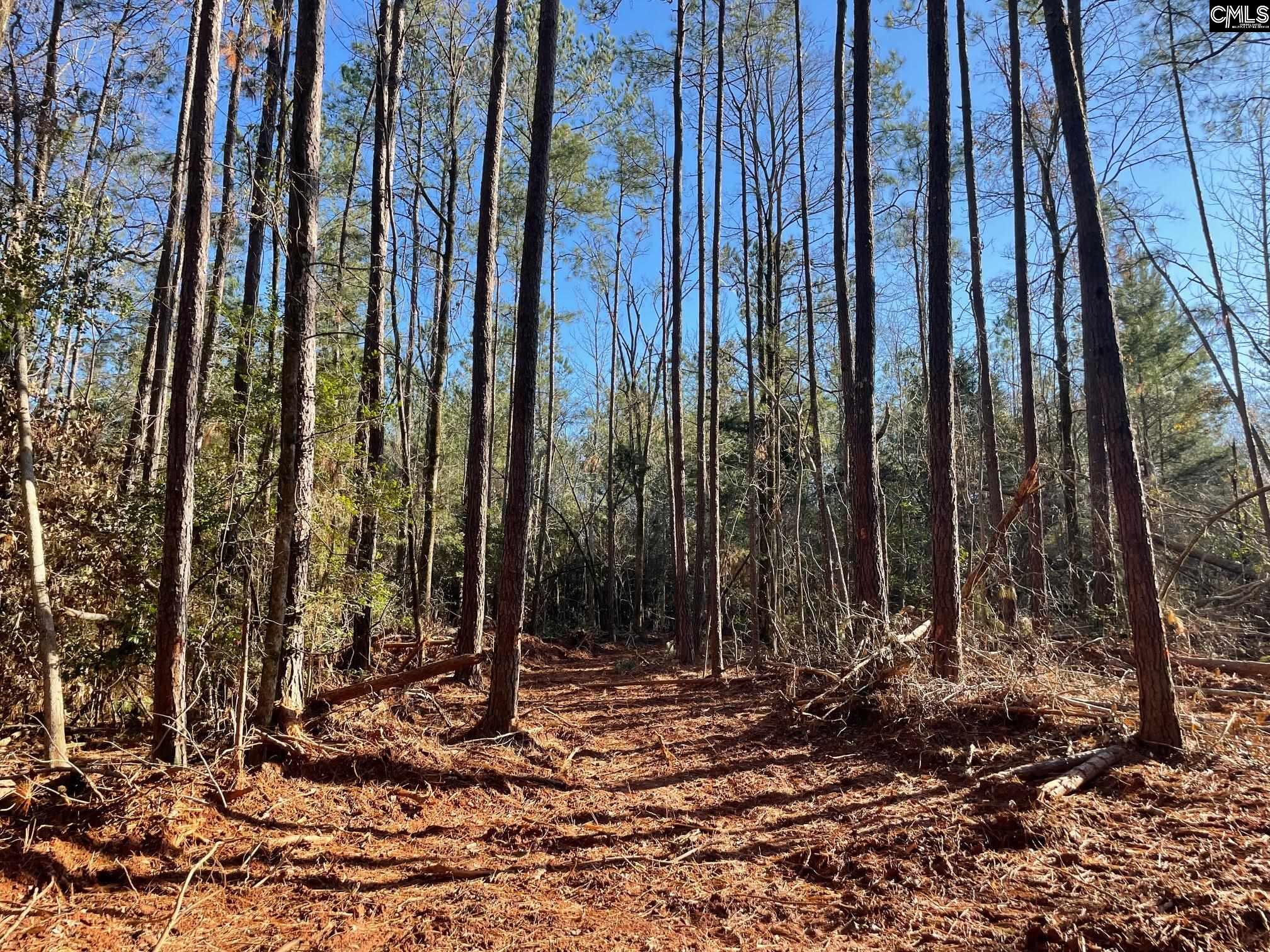 Lot 3 Houston Road UNIT #3 Prosperity, SC 29127