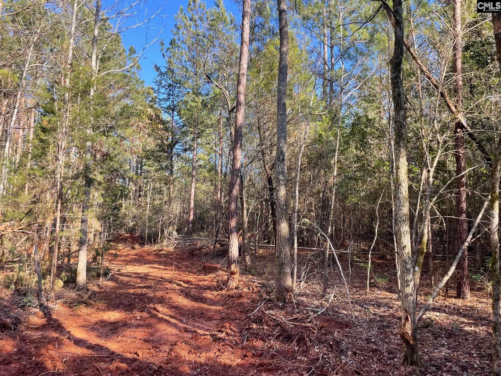 Lot 3 Houston Road UNIT #3 Prosperity, SC 29127