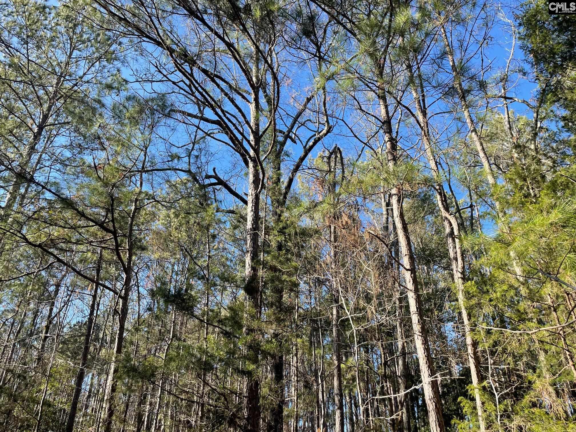 Lot 3 Houston Road UNIT #3 Prosperity, SC 29127