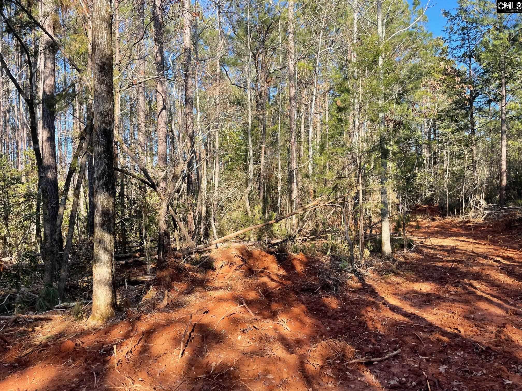 Lot 3 Houston Road UNIT #3 Prosperity, SC 29127