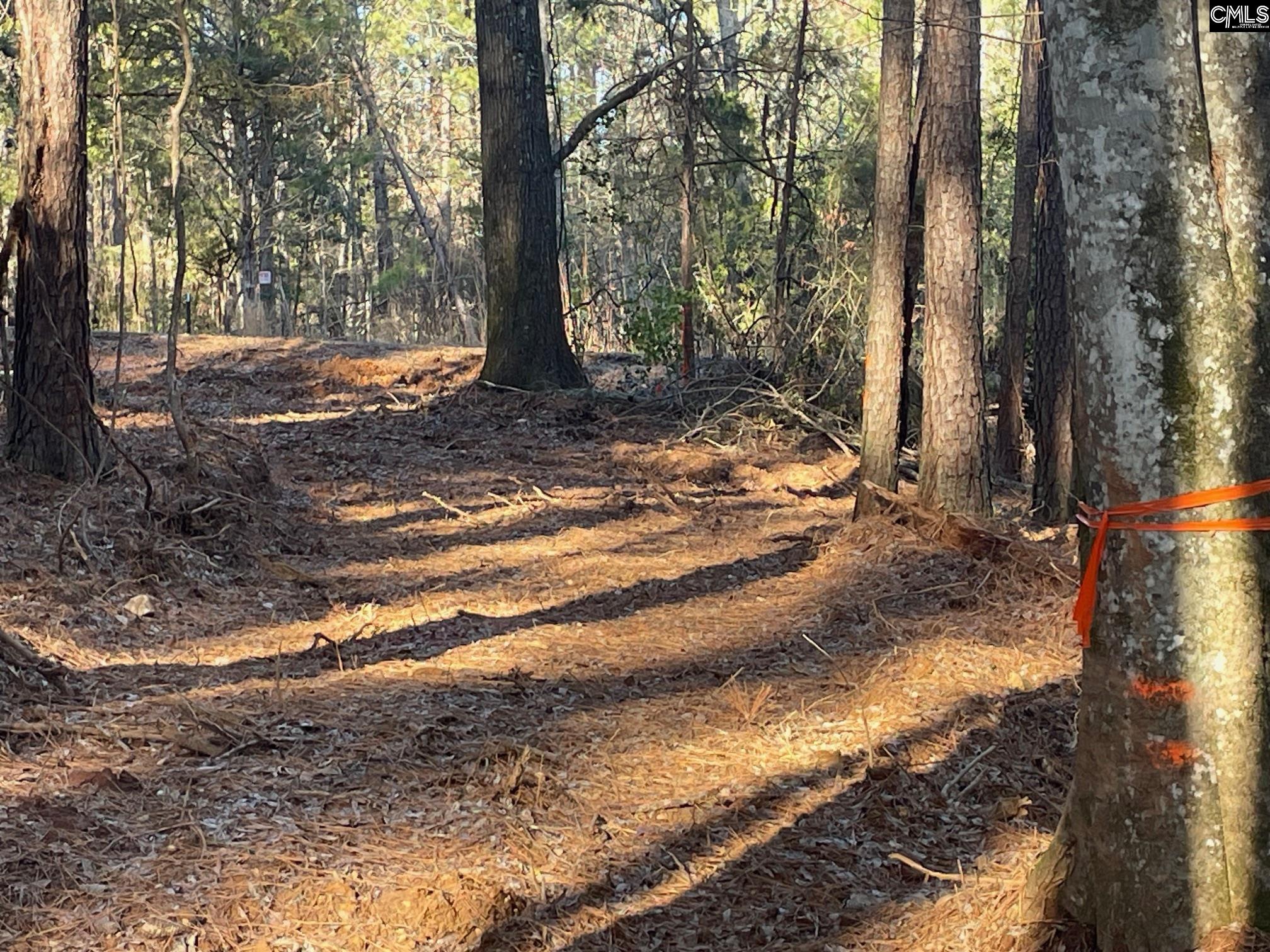 Lot 3 Houston Road UNIT #3 Prosperity, SC 29127