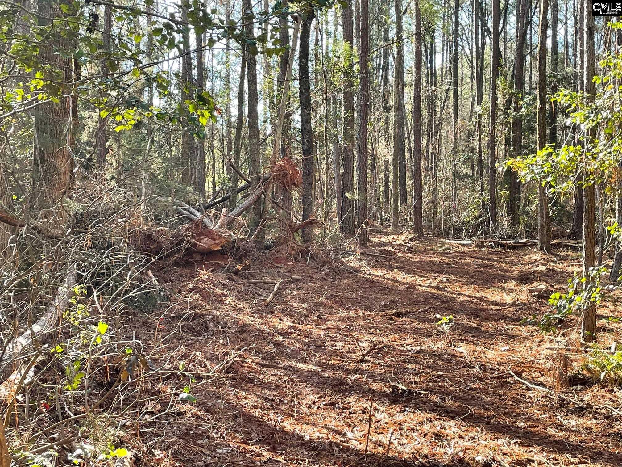 Lot 4 Houston Road UNIT #4 Prosperity, SC 29127