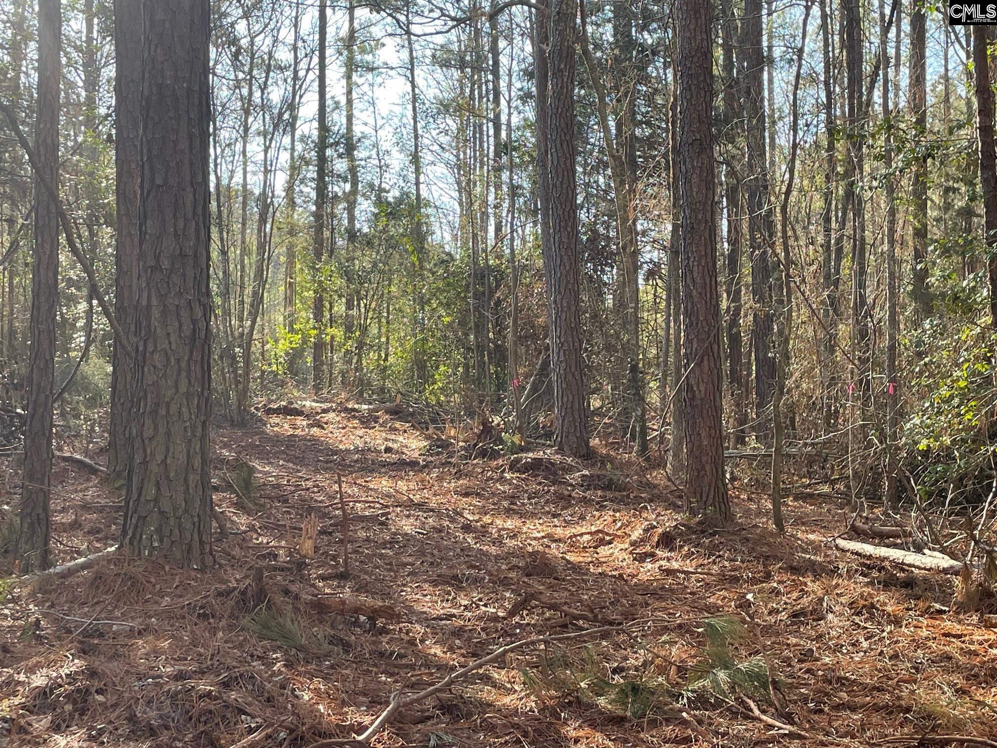 Lot 4 Houston Road UNIT #4 Prosperity, SC 29127