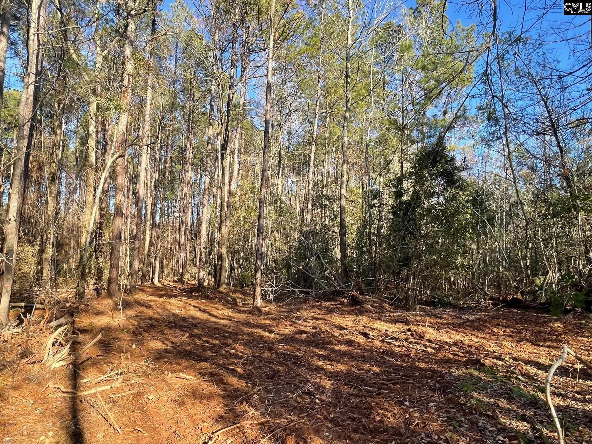 Lot 4 Houston Road UNIT #4 Prosperity, SC 29127