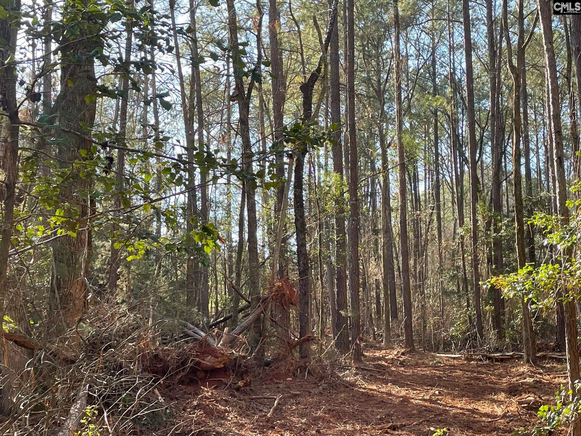 Lot 4 Houston Road UNIT #4 Prosperity, SC 29127