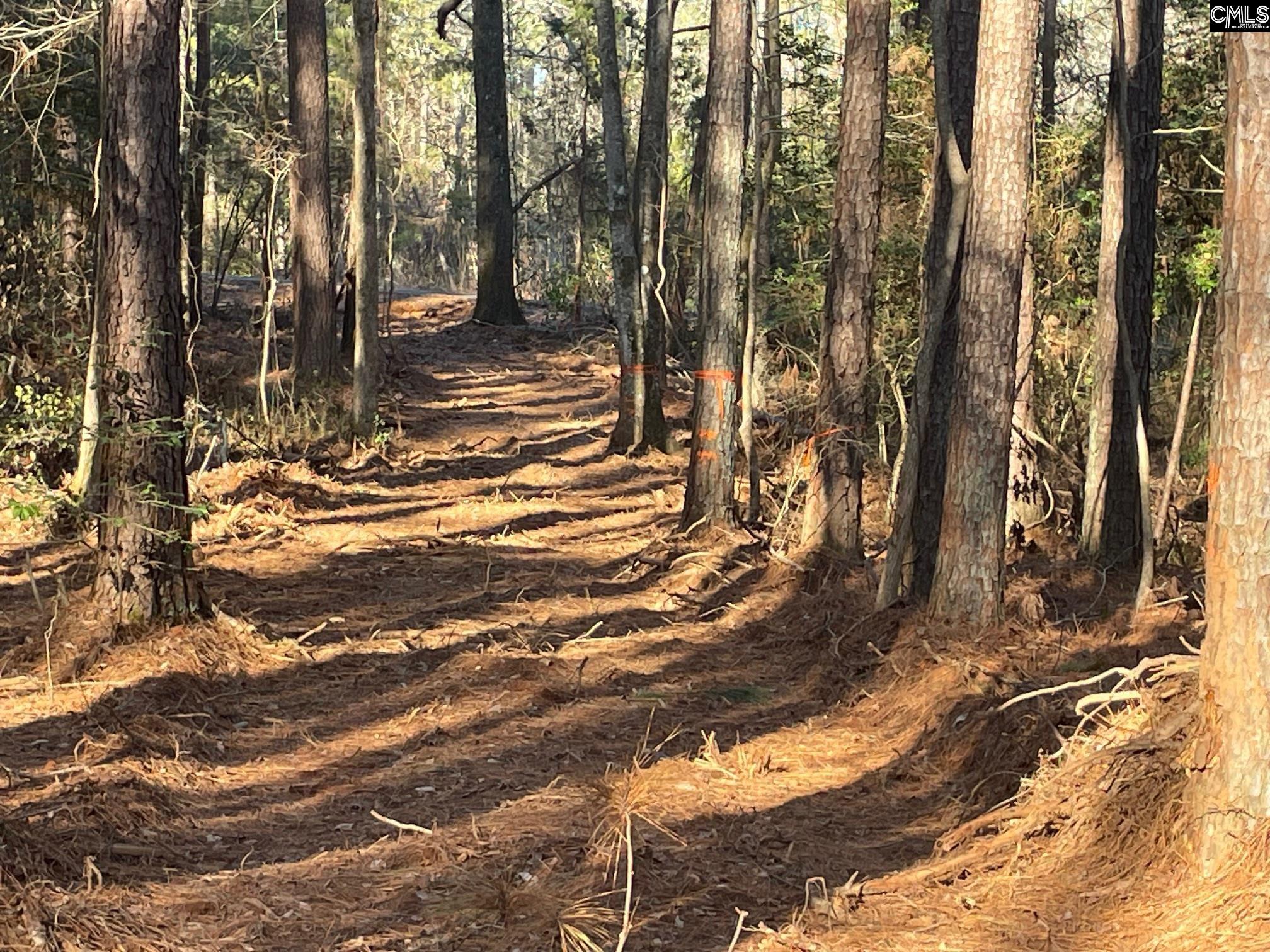 Lot 4 Houston Road UNIT #4 Prosperity, SC 29127