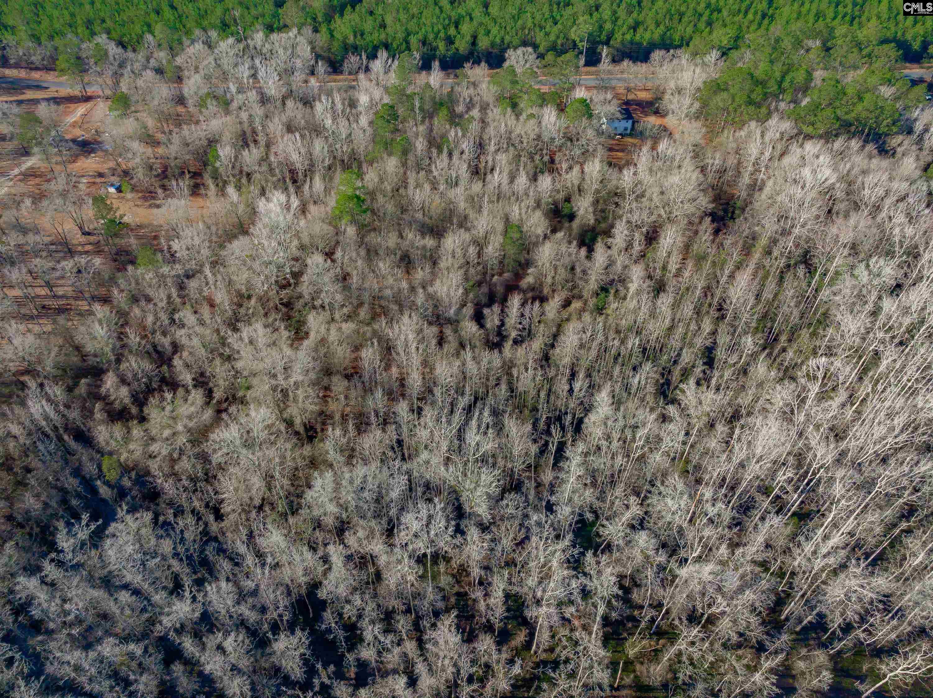 1641 Joe Collins Rd, Eastover, South Carolina image 4
