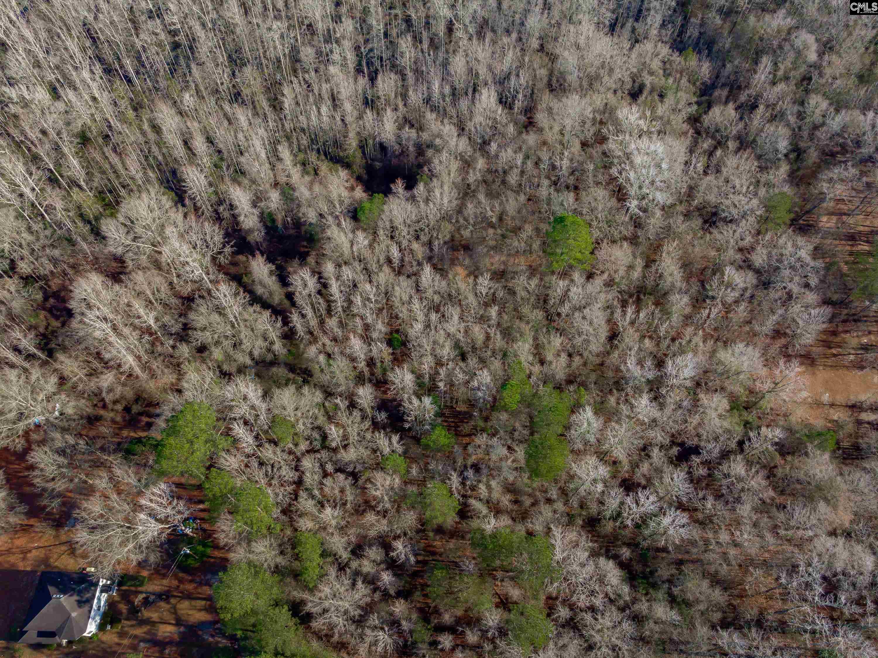 1641 Joe Collins Rd, Eastover, South Carolina image 5