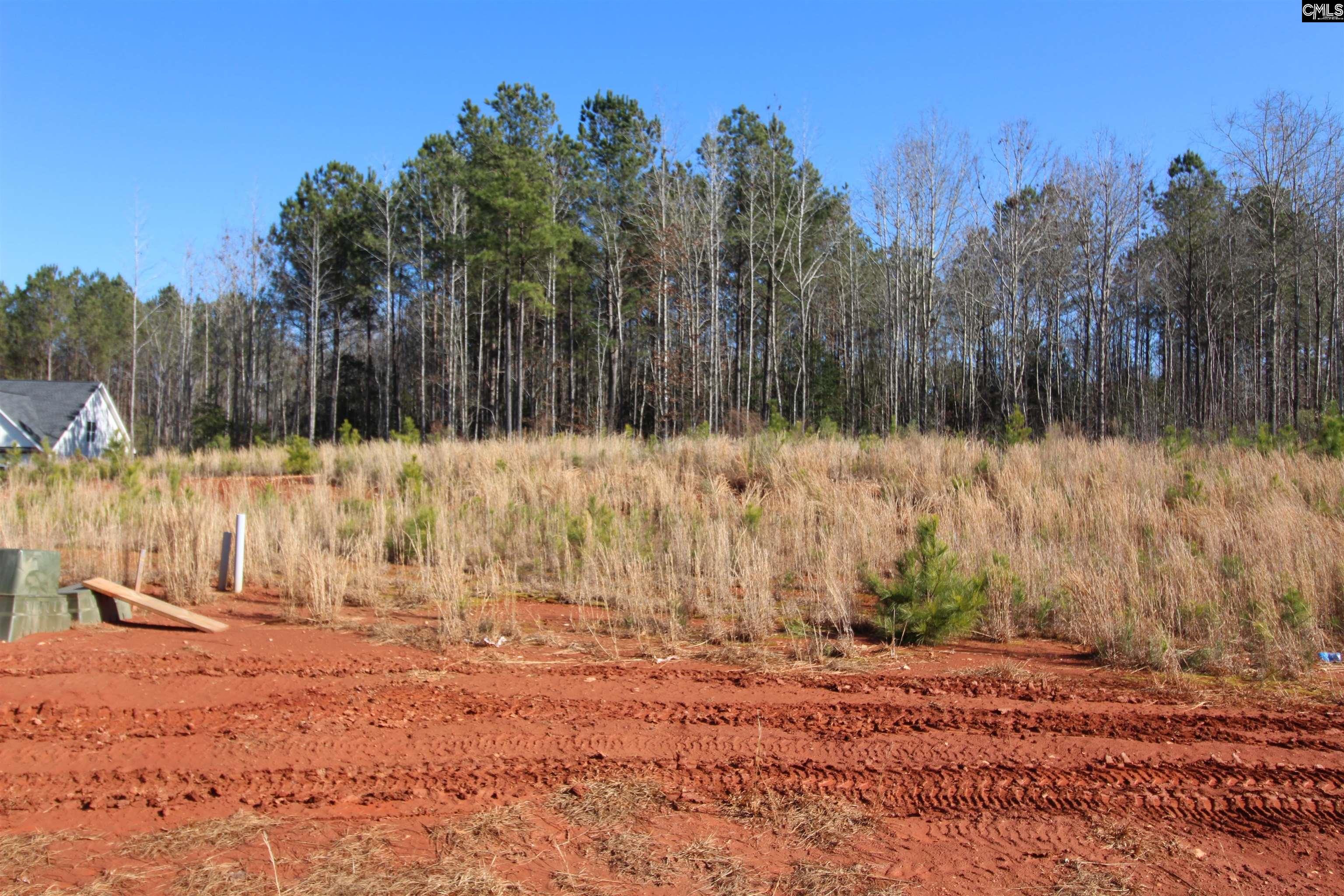 Clouds Creek Road, Leesville, South Carolina image 2