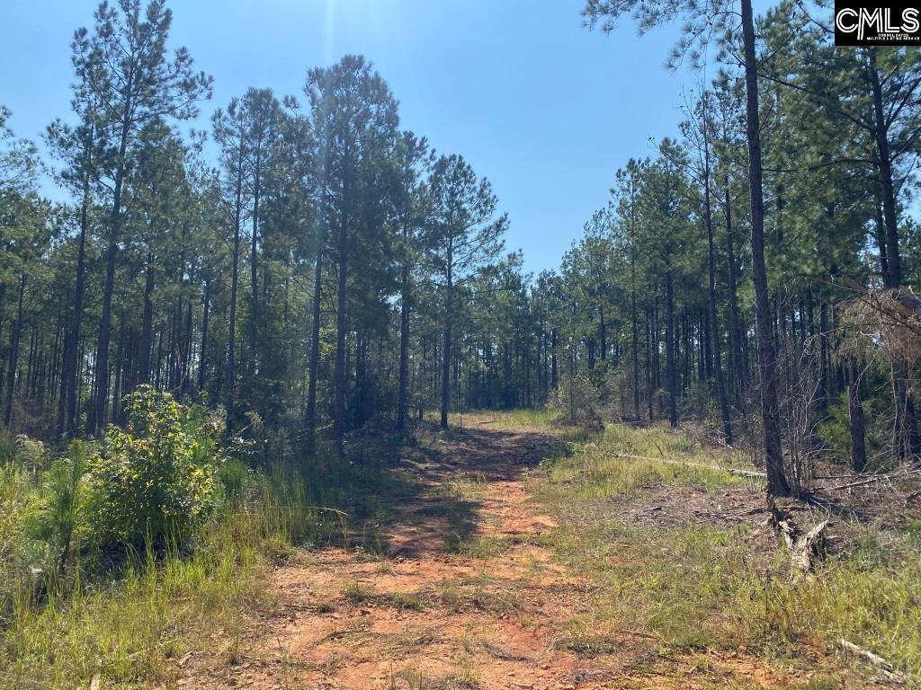 Flat Rock Road, Abbeville, South Carolina image 1