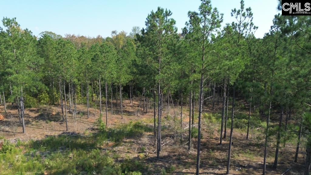 Flat Rock Road, Abbeville, South Carolina image 3