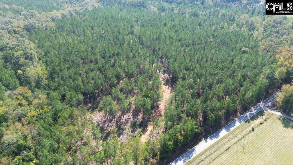 Flat Rock Road, Abbeville, South Carolina image 4