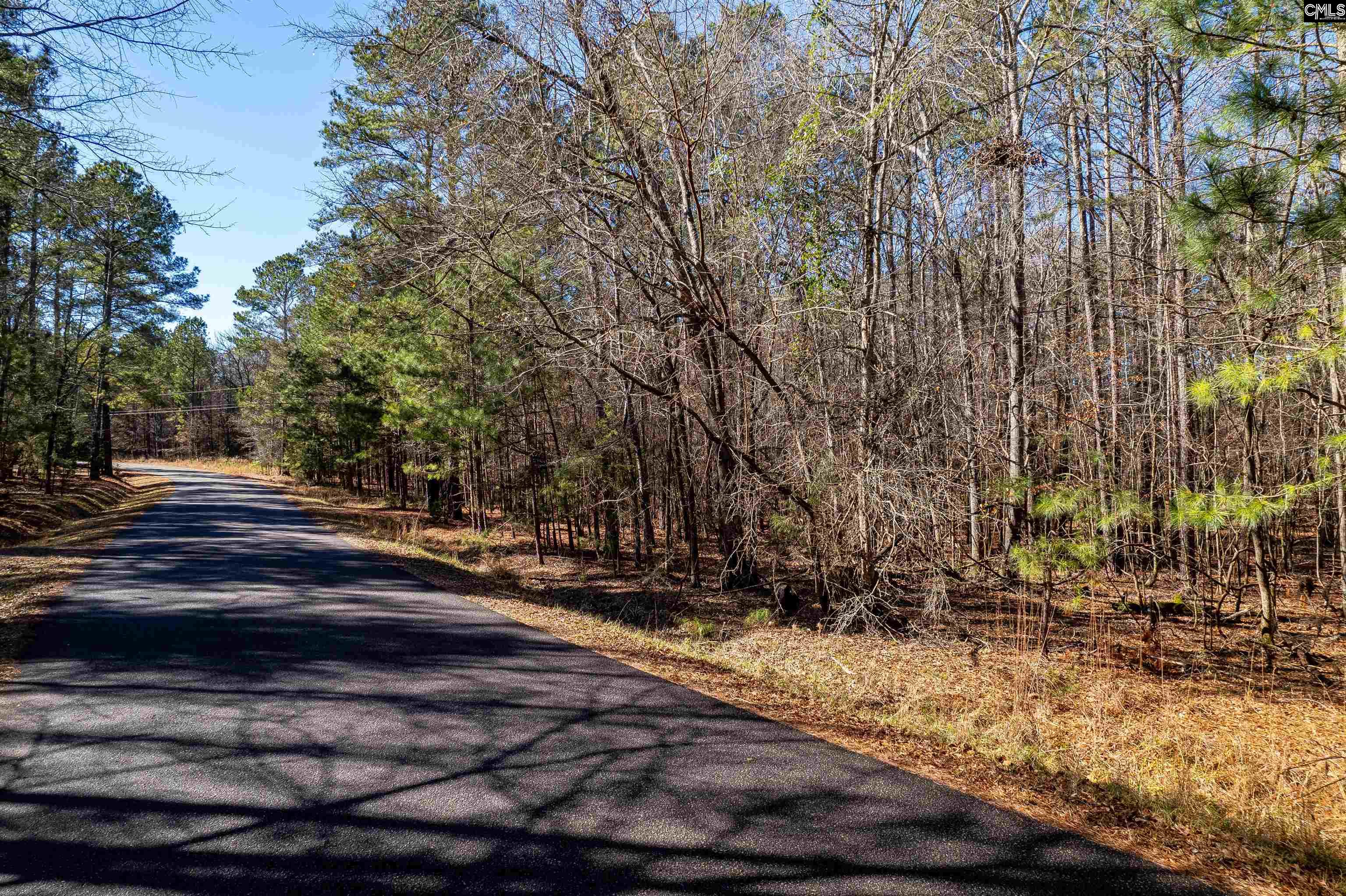 1105 Scooter Bridge Road UNIT Lot 091 Batesburg, SC 29006