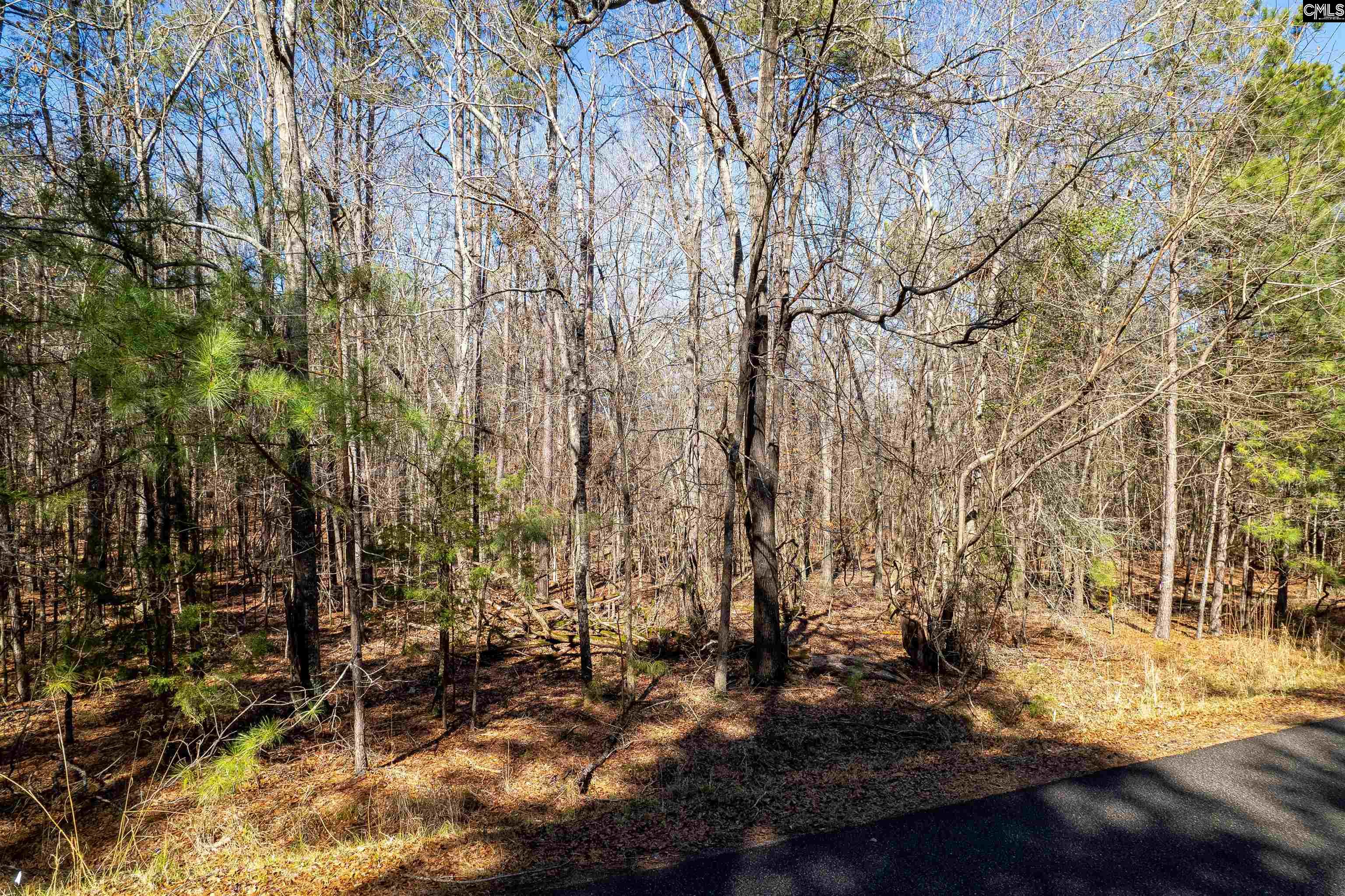 1105 Scooter Bridge Road UNIT Lot 091 Batesburg, SC 29006