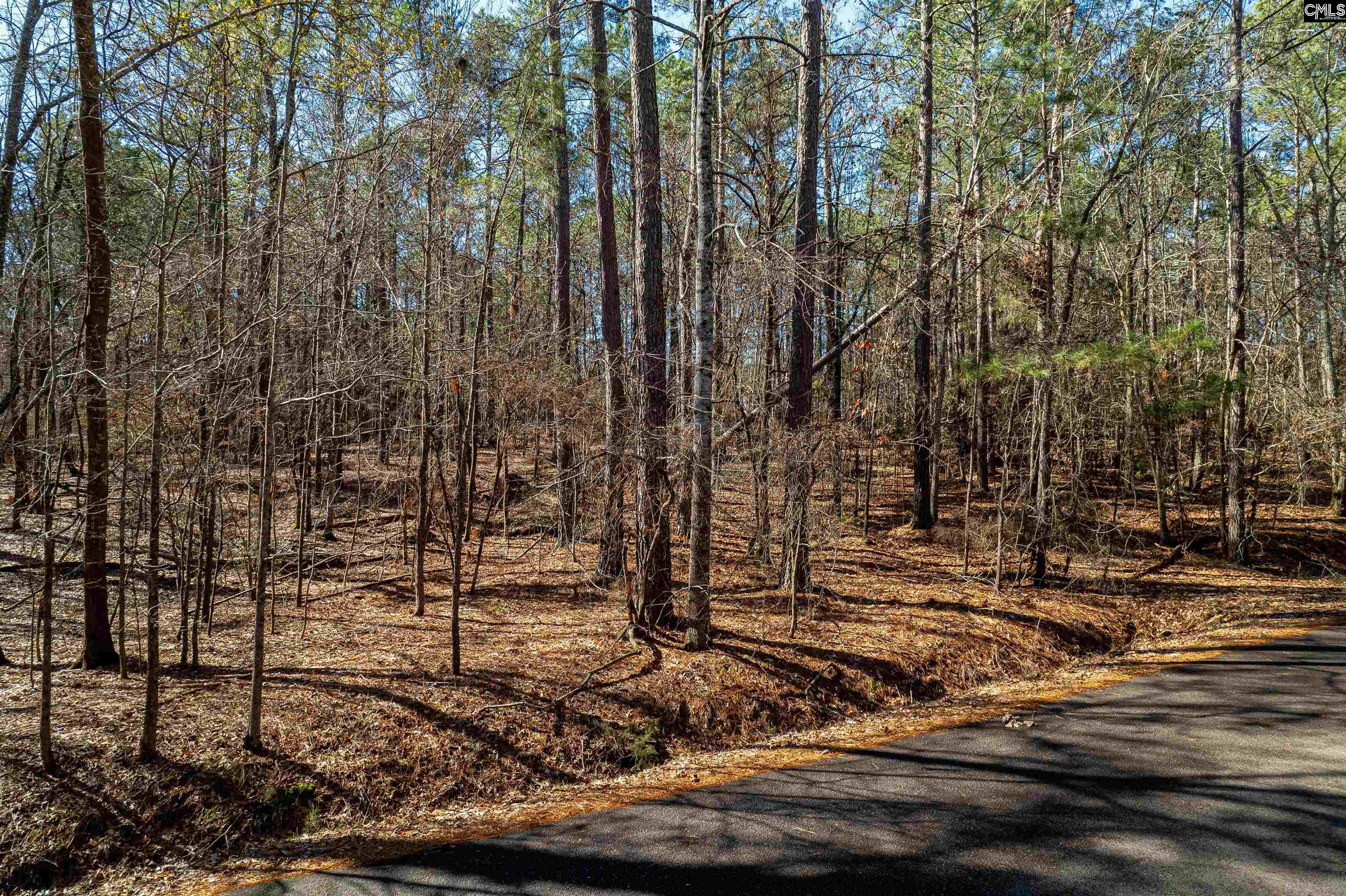 Little Saluda Lane UNIT Lot 089 Batesburg, SC 29006