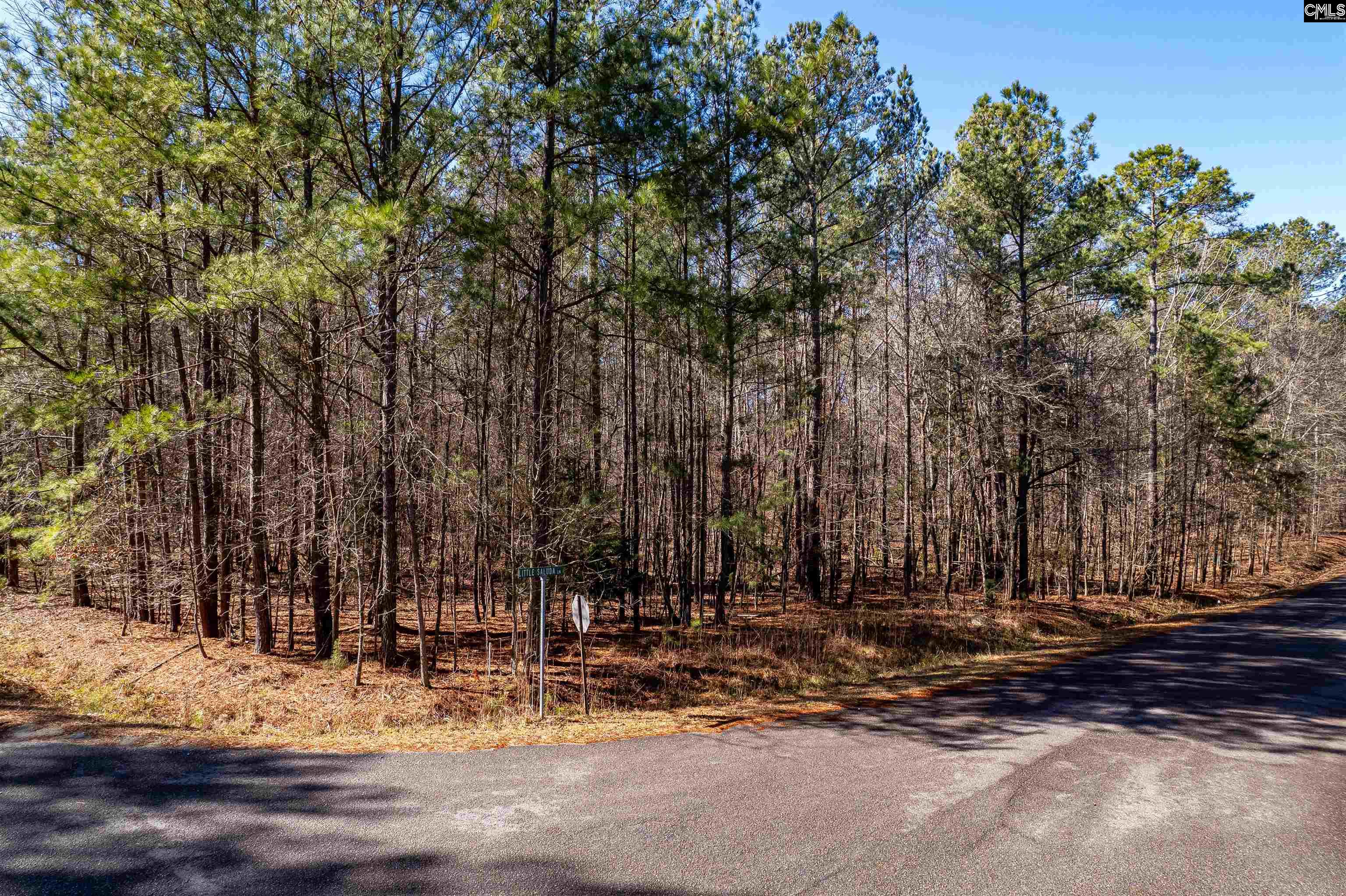 1115 Scooter Bridge Road UNIT Lot 090 Batesburg, SC 29006