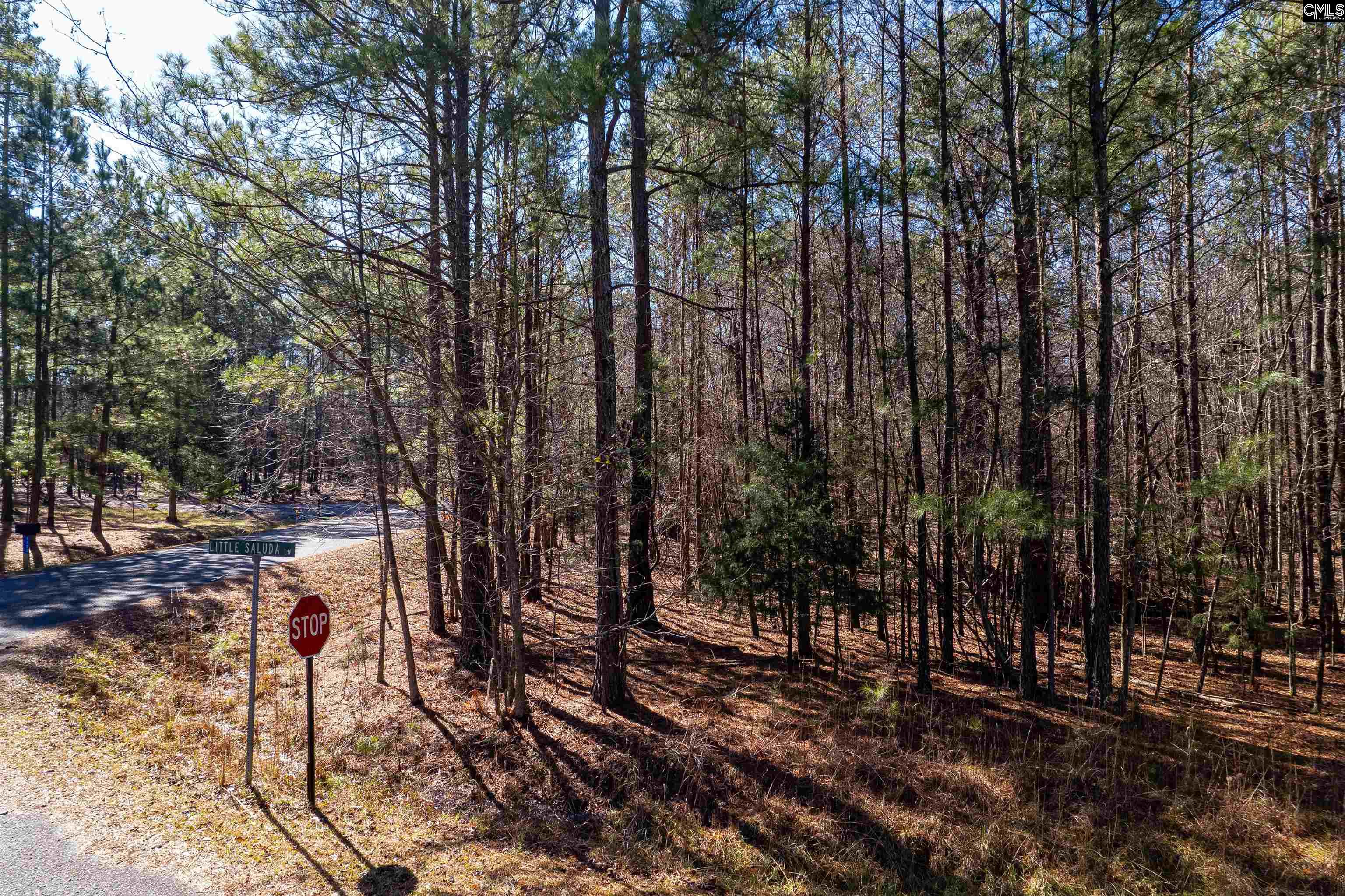 1115 Scooter Bridge Road UNIT Lot 090 Batesburg, SC 29006