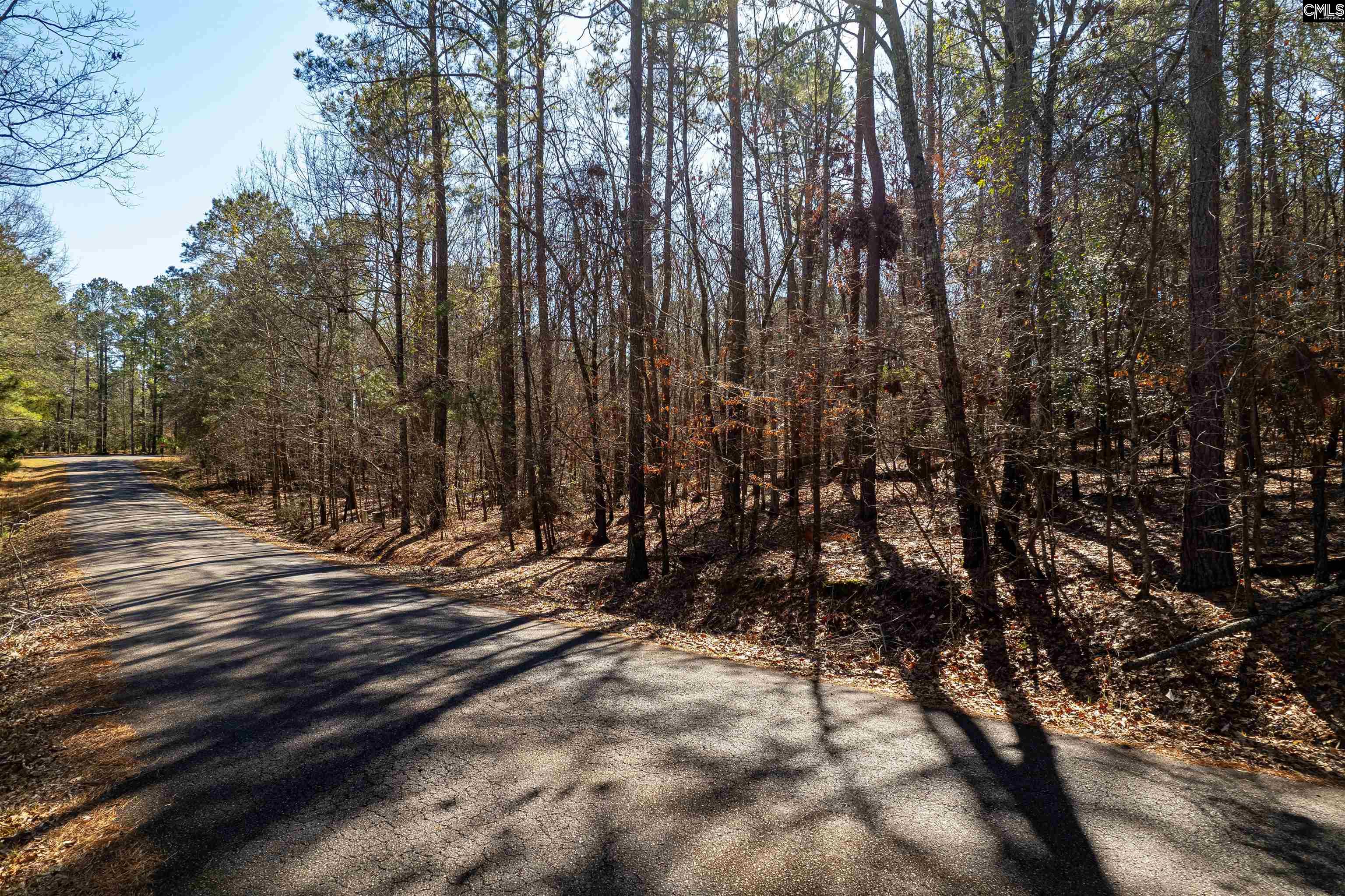 1115 Scooter Bridge Road UNIT Lot 090 Batesburg, SC 29006
