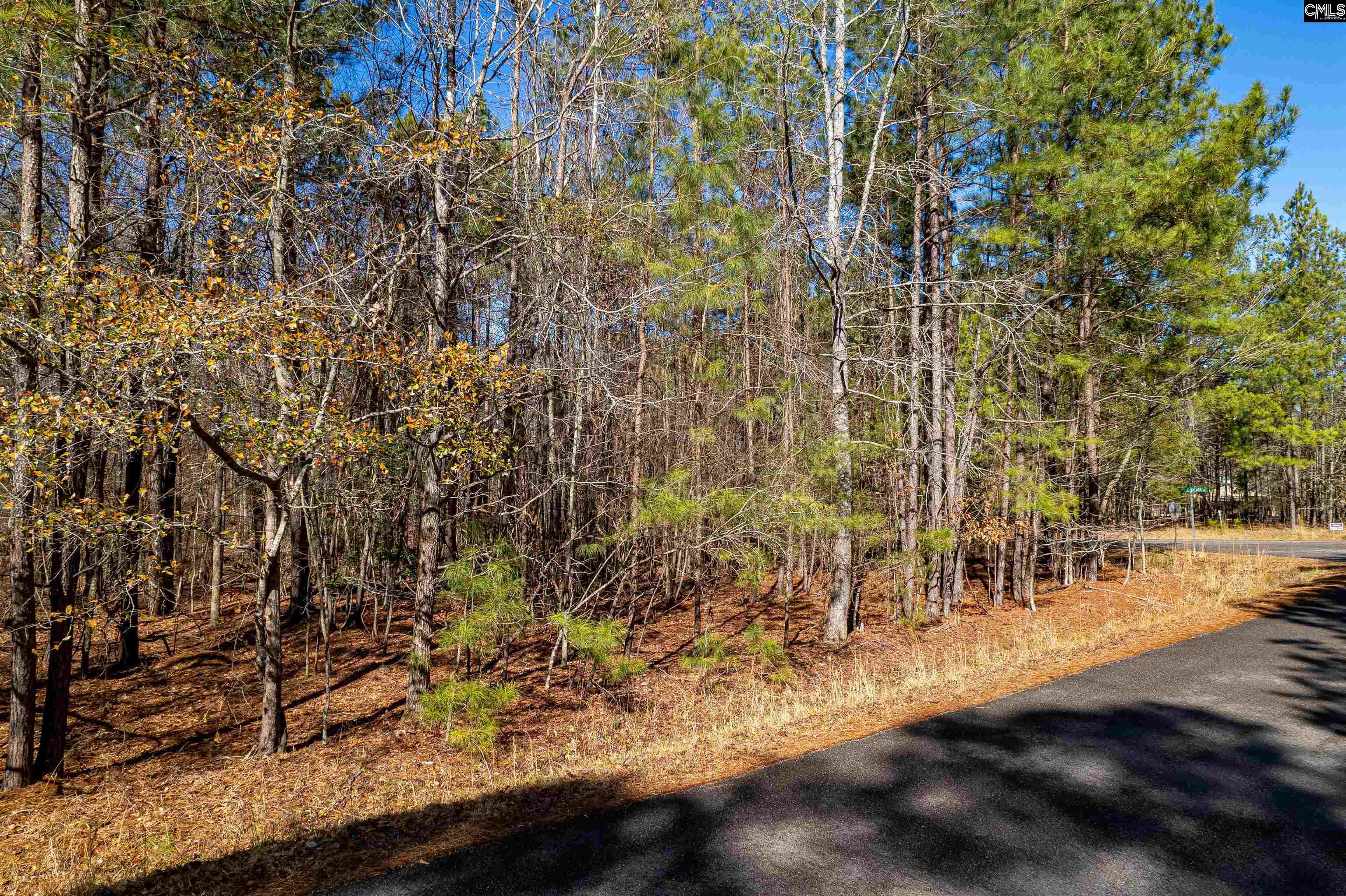1115 Scooter Bridge Road UNIT Lot 090 Batesburg, SC 29006