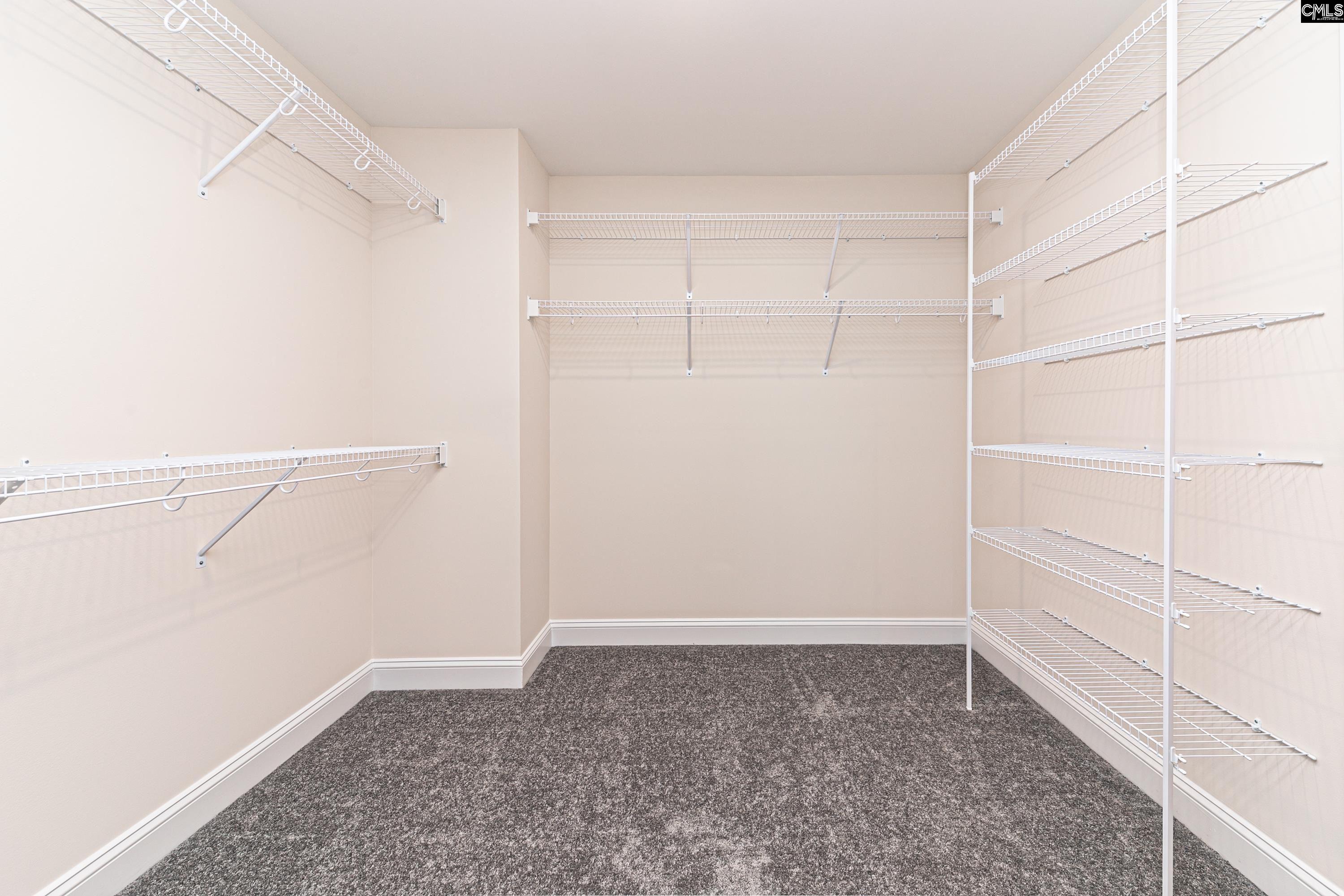 982 Bergenfield Lane Chapin, SC 29036