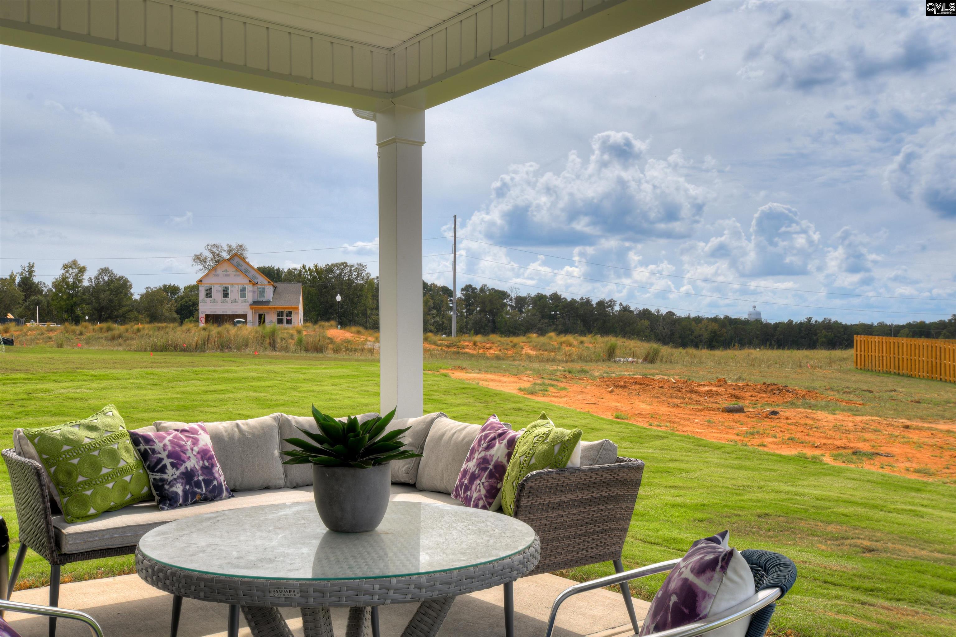 292 Chapin Place Way, Chapin, South Carolina image 32