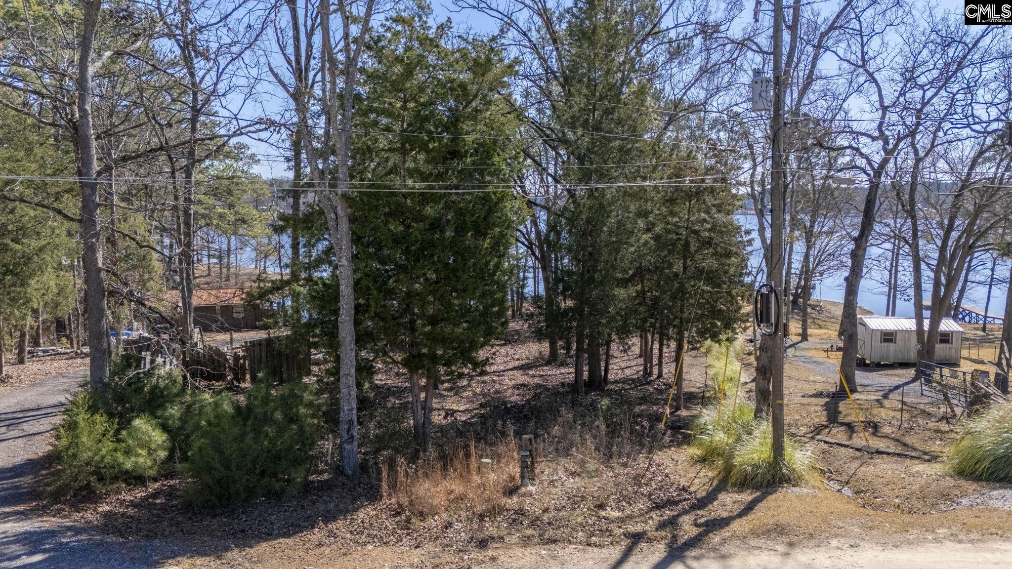 1160 Carolina Lane, Leesville, South Carolina image 10