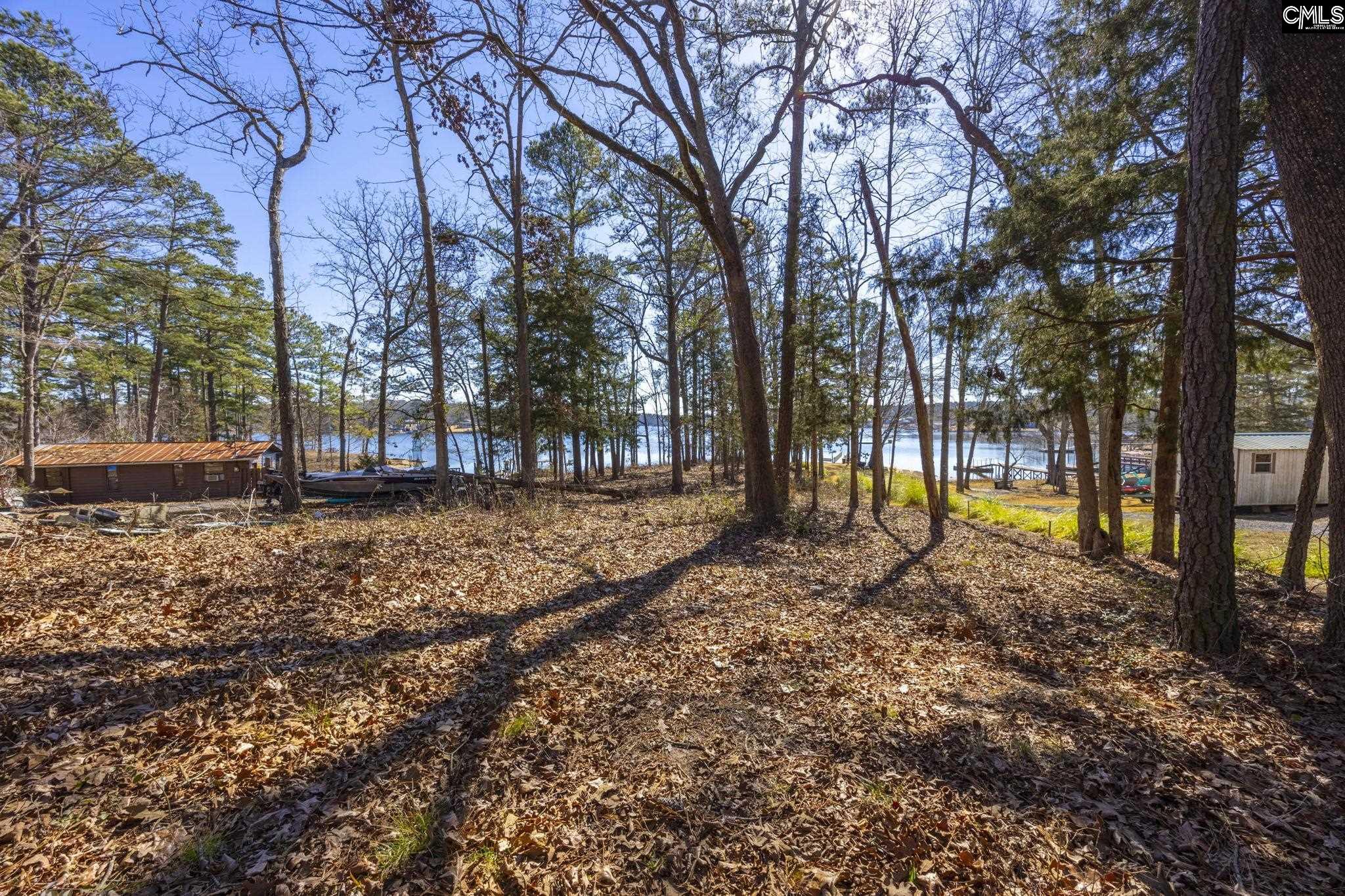1160 Carolina Lane, Leesville, South Carolina image 4