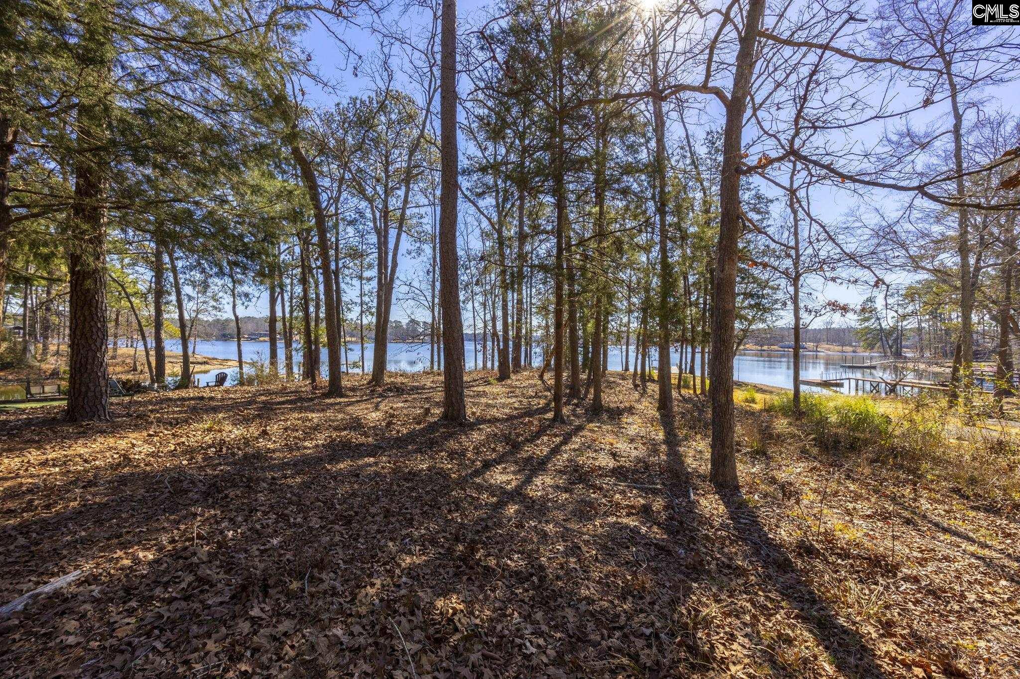 1160 Carolina Lane, Leesville, South Carolina image 5