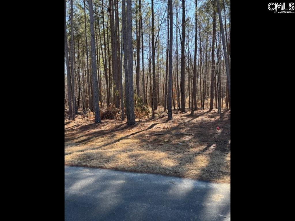 396 Stewart Landing Drive, Prosperity, South Carolina image 20