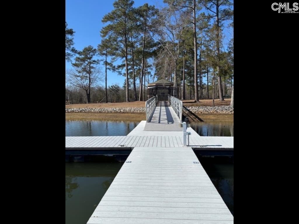 396 Stewart Landing Drive, Prosperity, South Carolina image 6