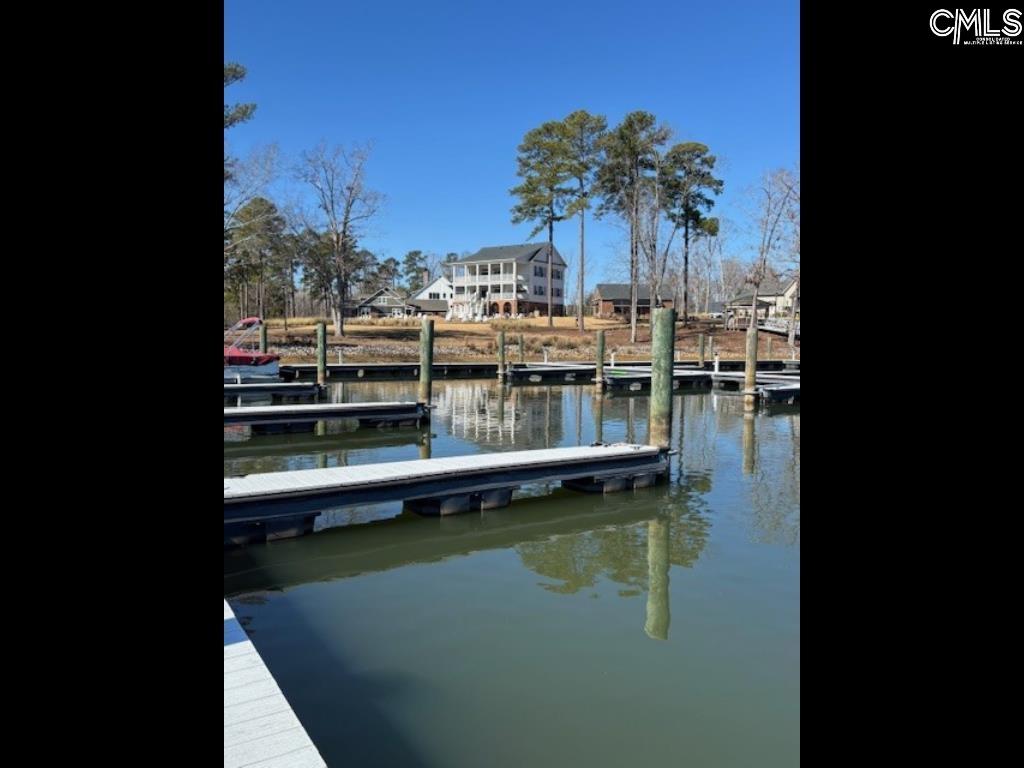 396 Stewart Landing Drive, Prosperity, South Carolina image 9