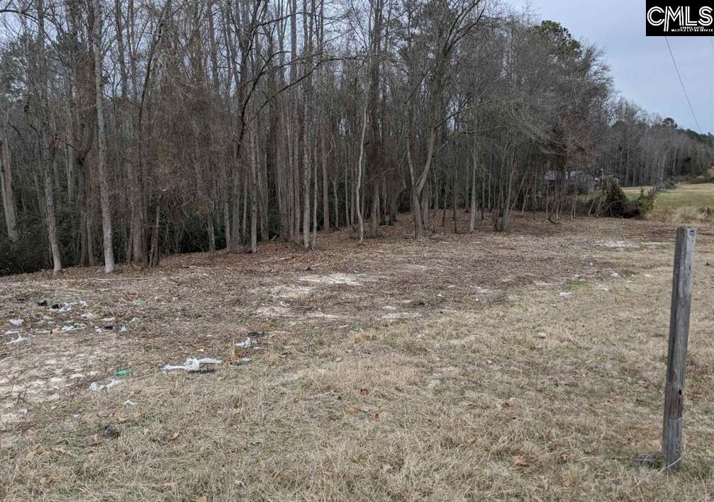 2232 H S Highway 1 Highway, Elgin, South Carolina image 3