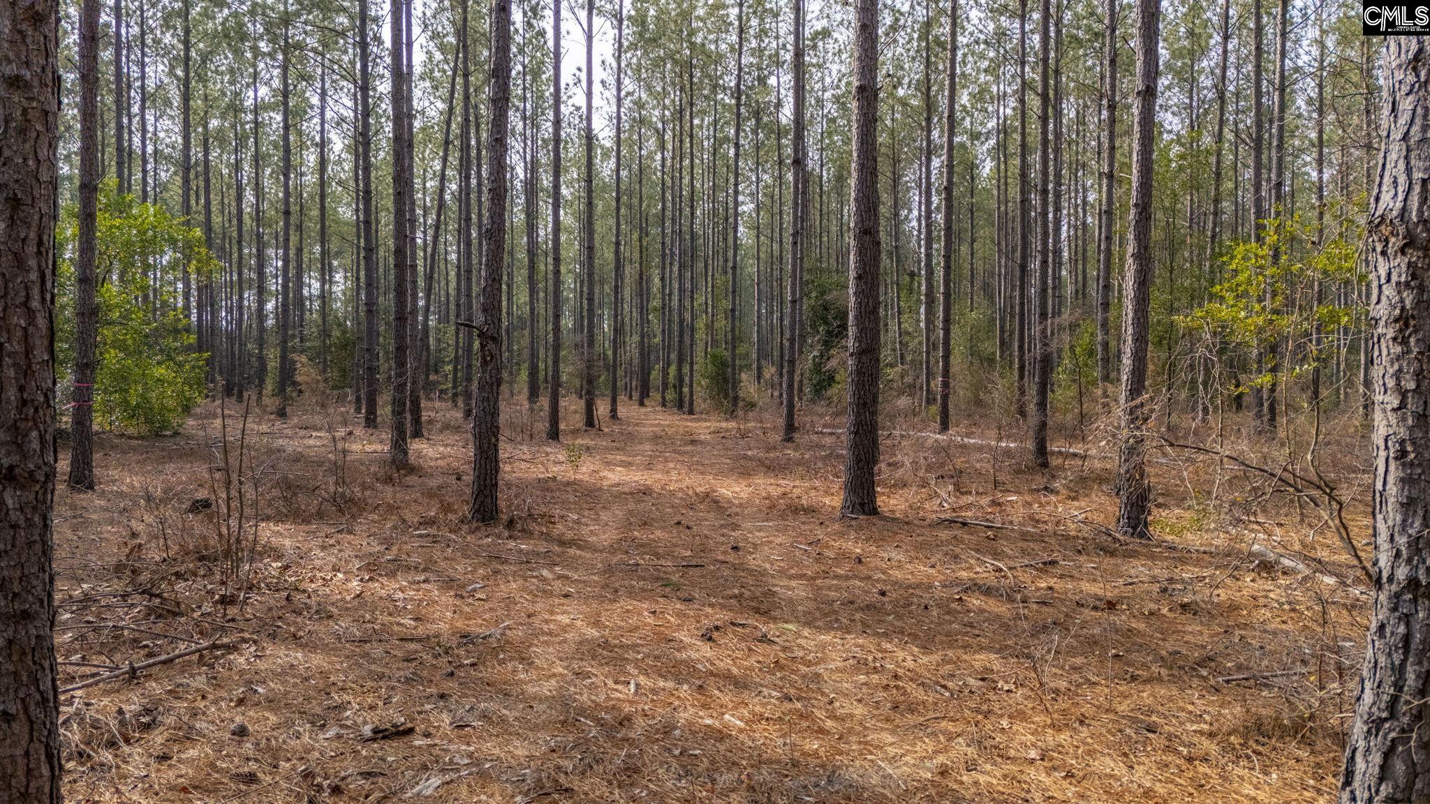 Two Notch Road, Batesburg, South Carolina image 2