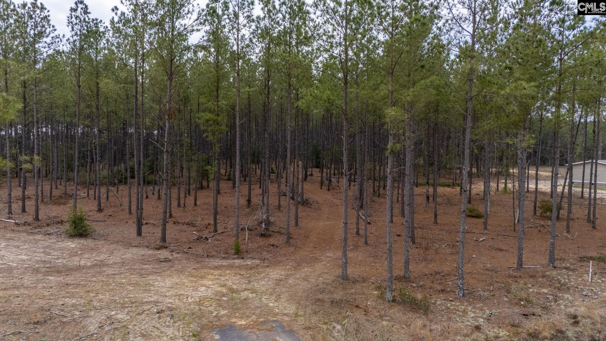Two Notch Road, Batesburg, South Carolina image 11