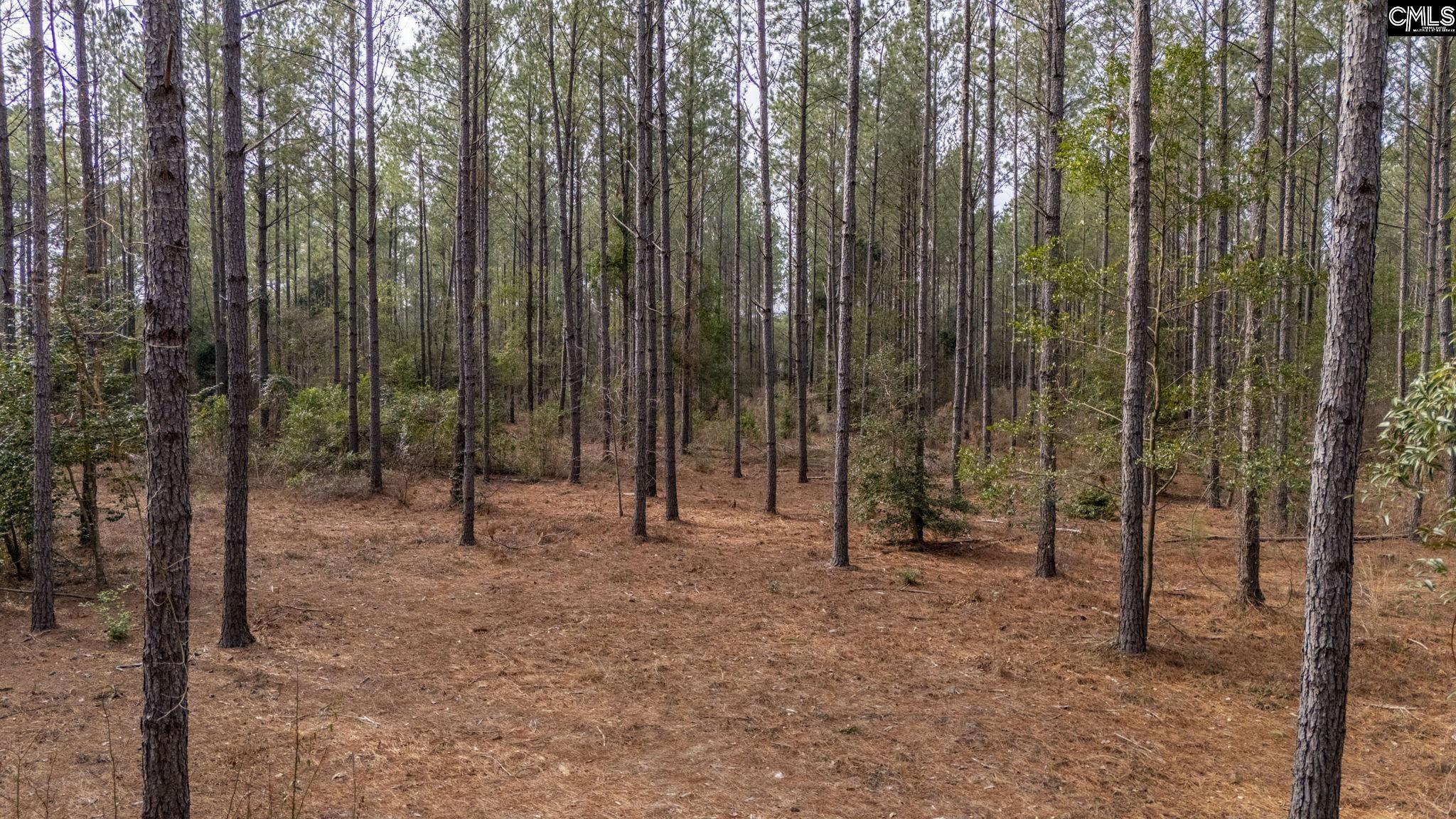 Two Notch Road, Batesburg, South Carolina image 4