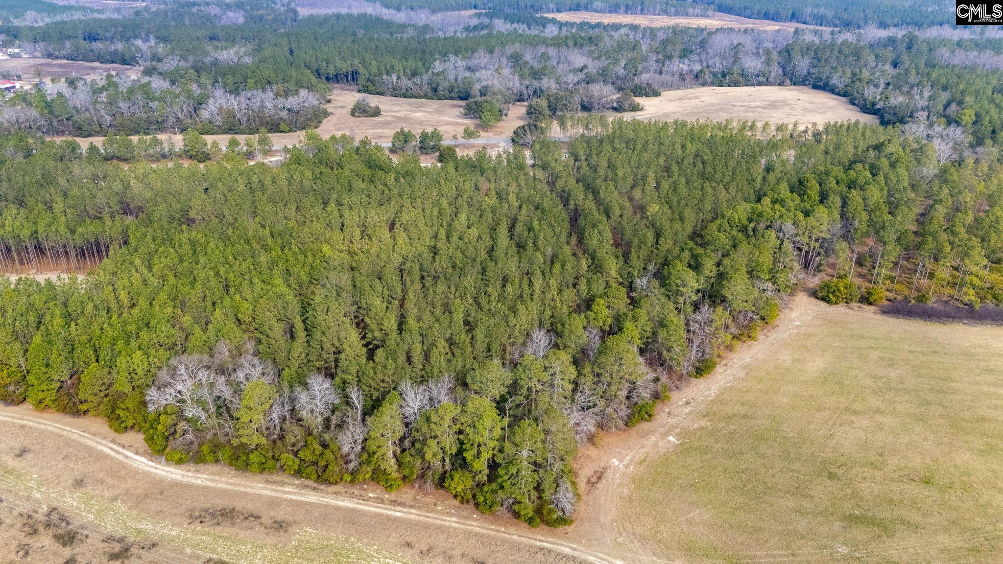 Two Notch Road, Batesburg, South Carolina image 6