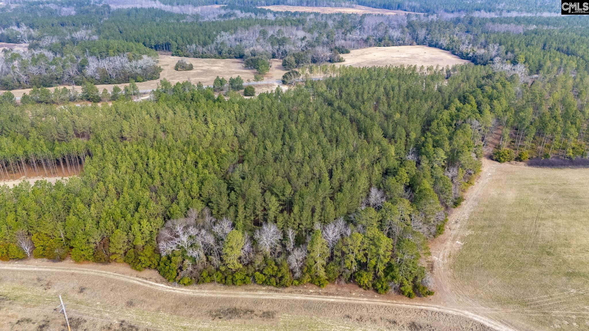 Two Notch Road, Batesburg, South Carolina image 7