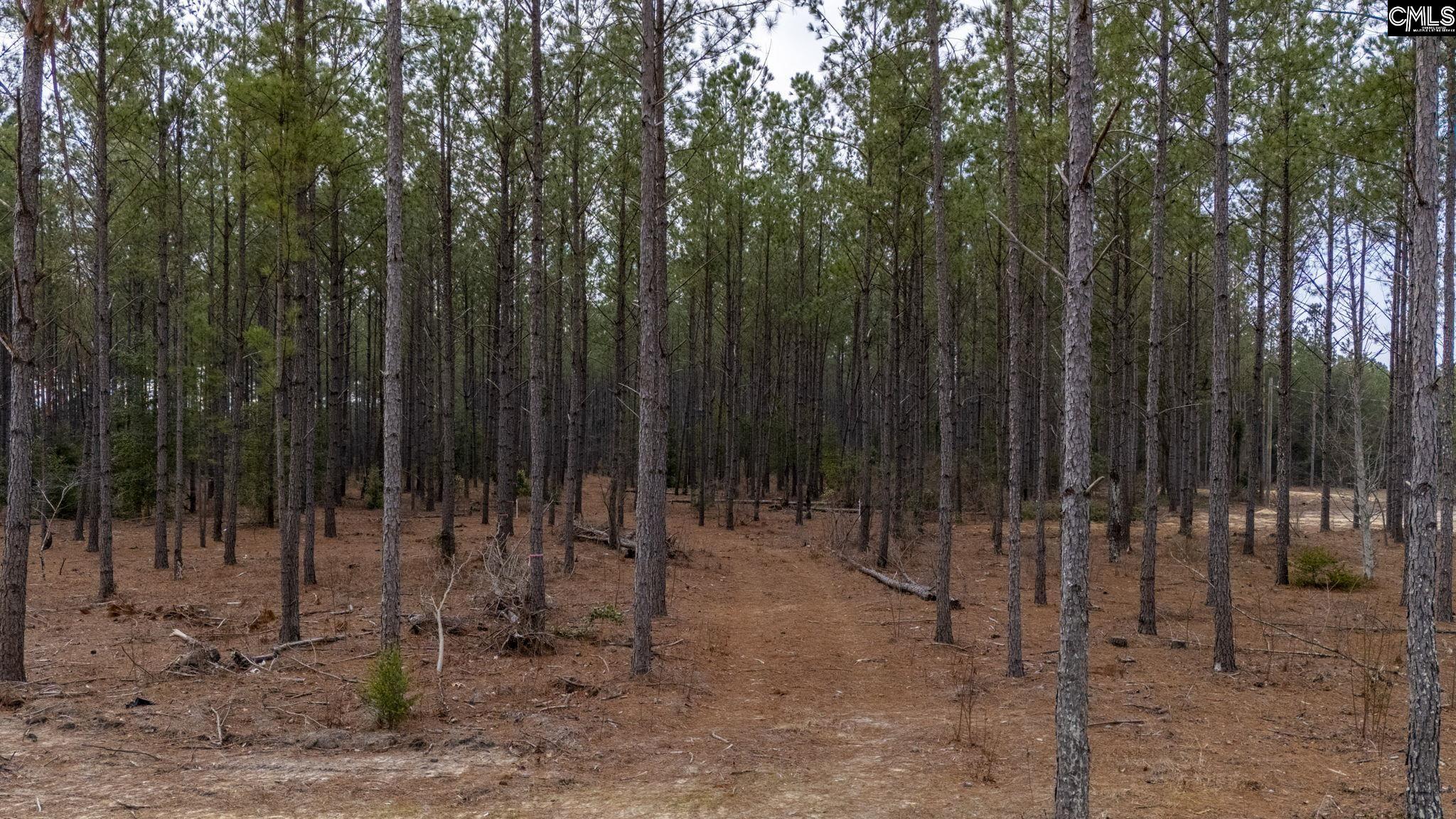Two Notch Road, Batesburg, South Carolina image 10