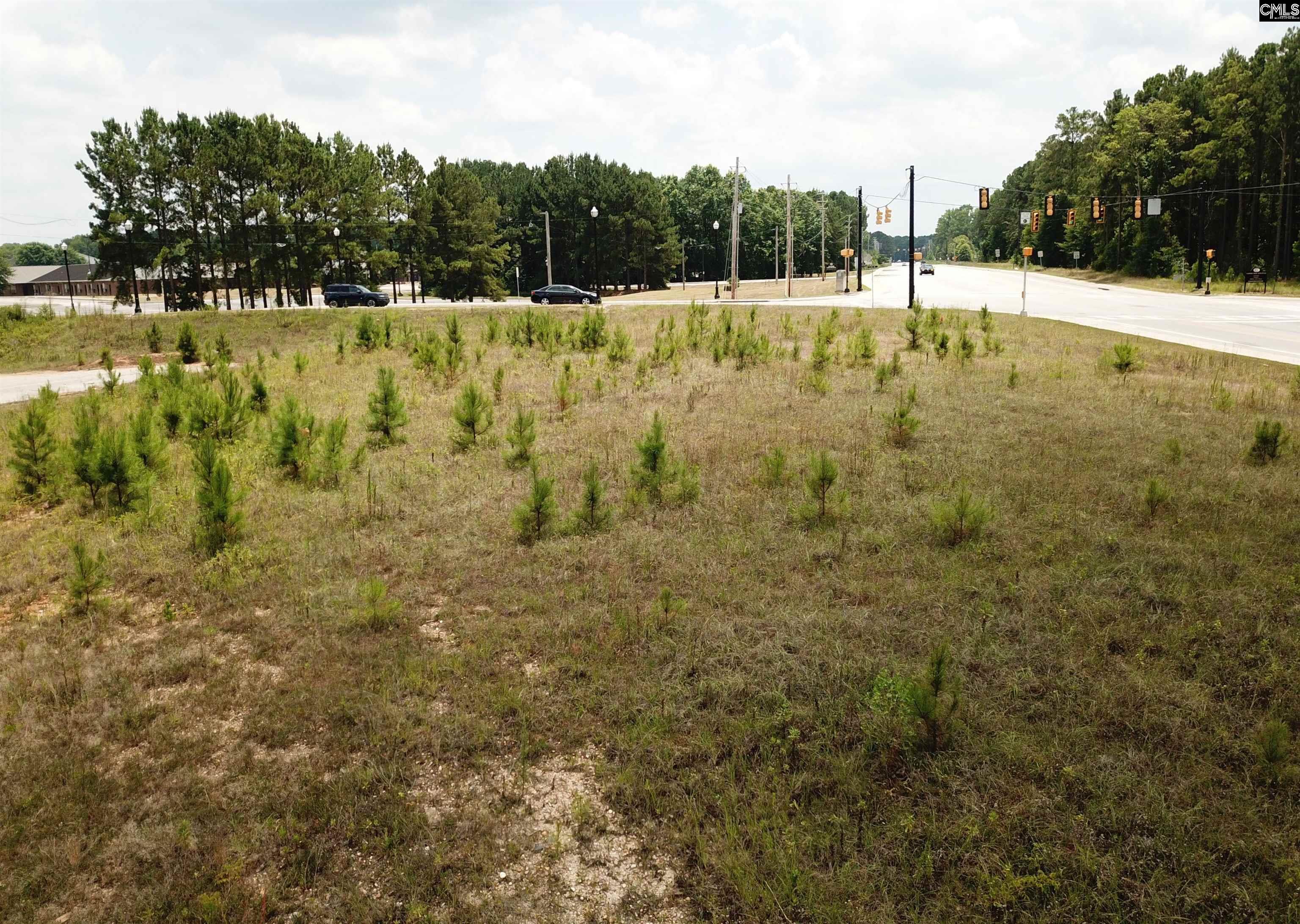 1108 Chestnut Ferry Road Camden, SC 29020-0000