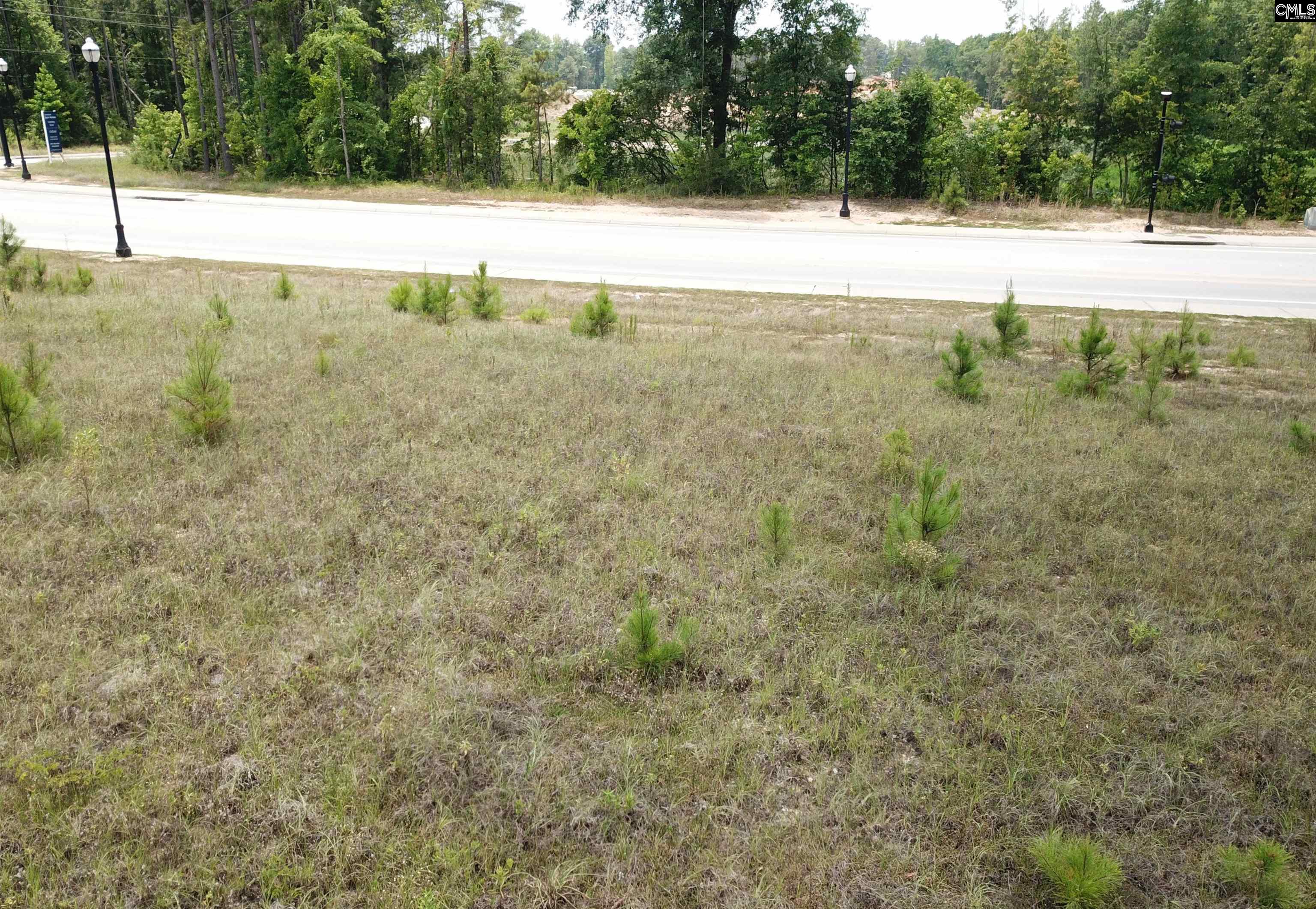 1108 Chestnut Ferry Road Camden, SC 29020-0000