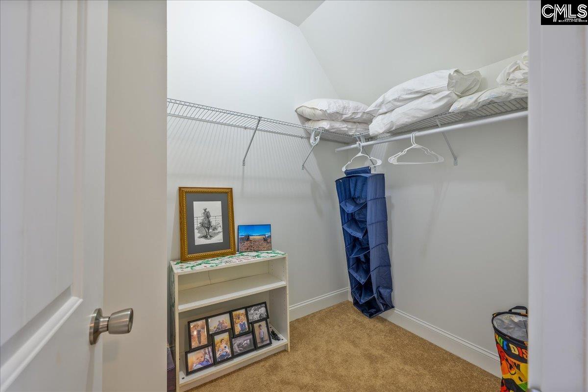 312 Holly Key Lane, Chapin, South Carolina image 27